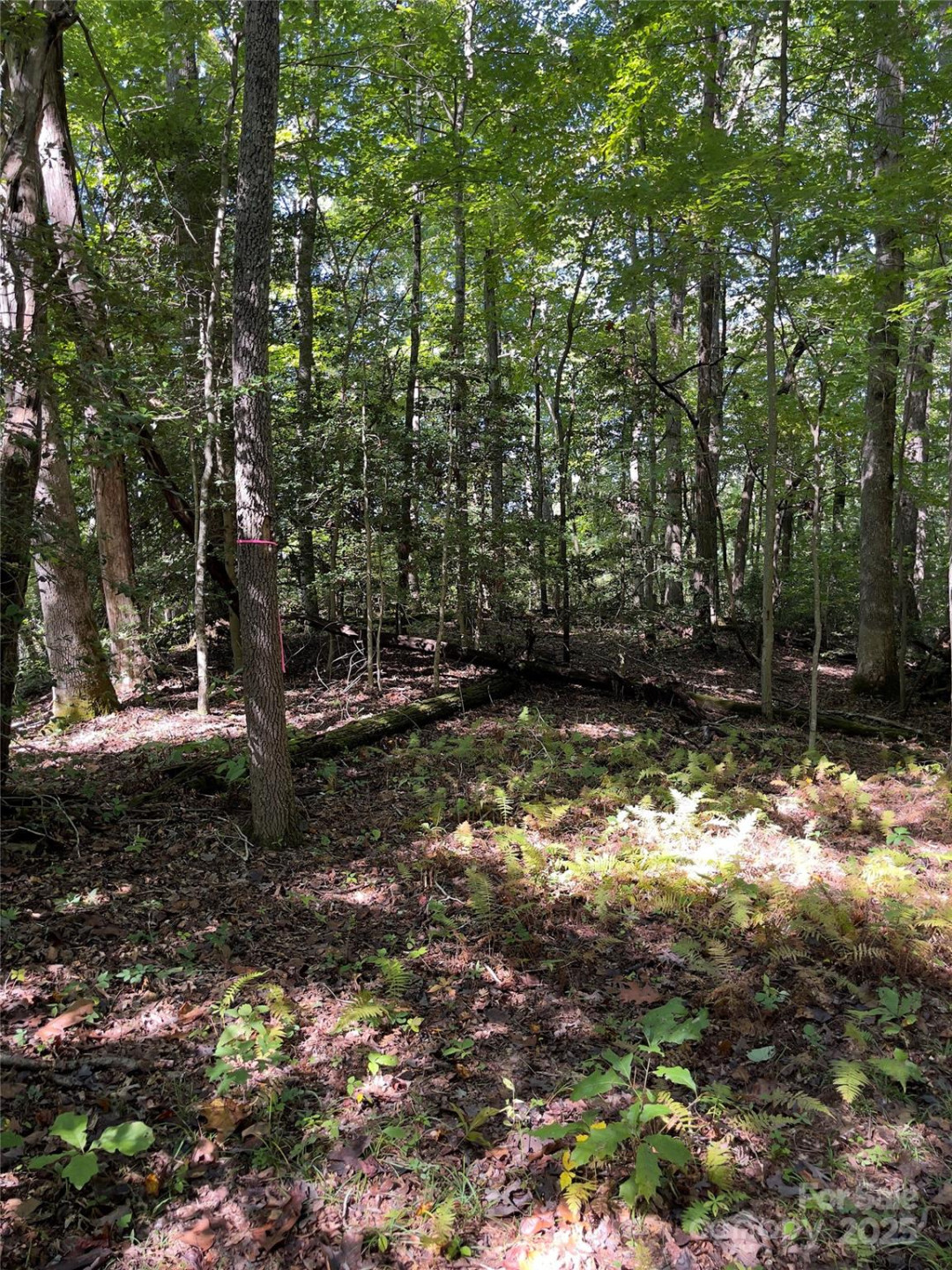 0 Empress Lane - Photo 3