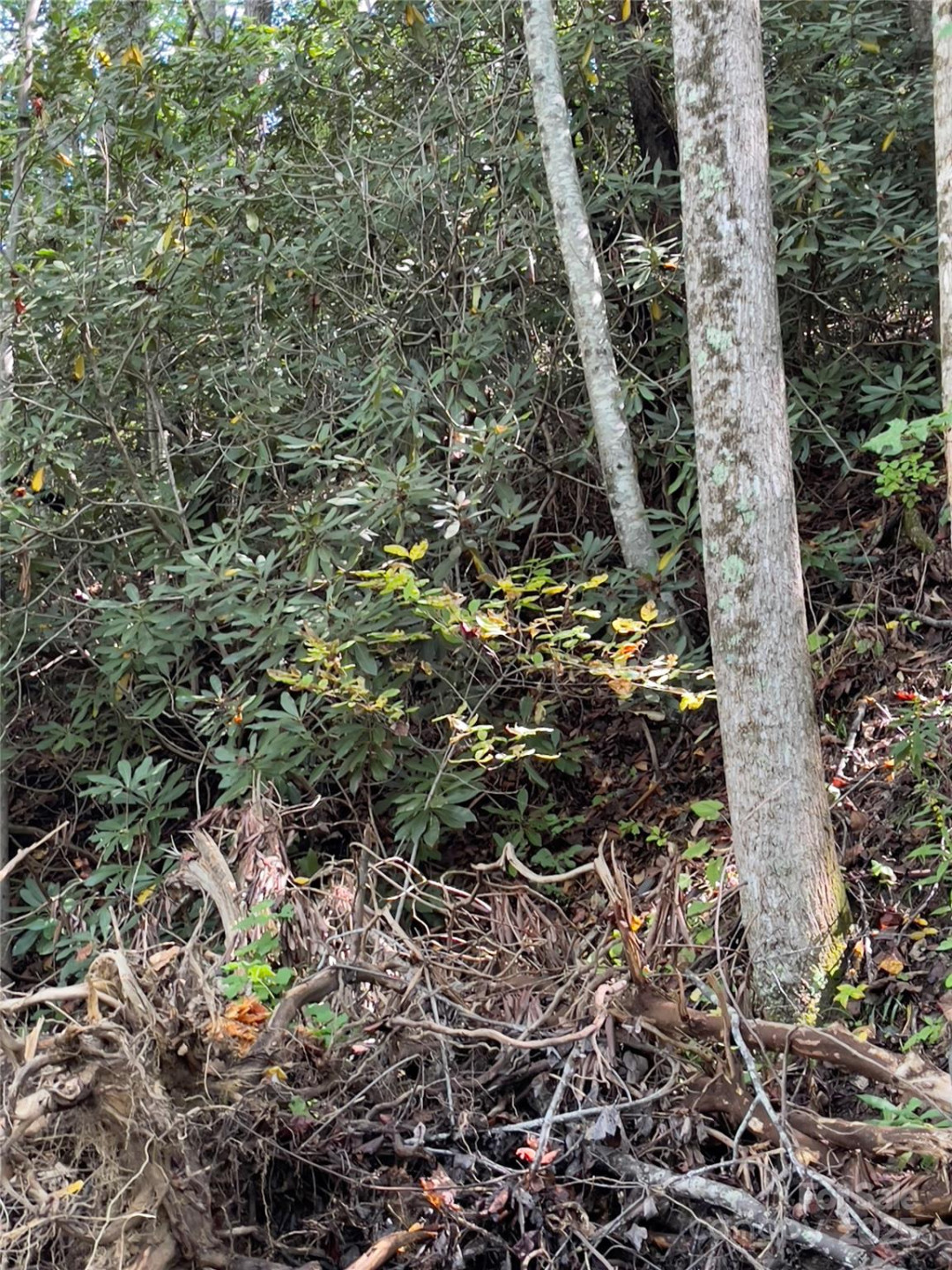 0 Empress Lane - Photo 21