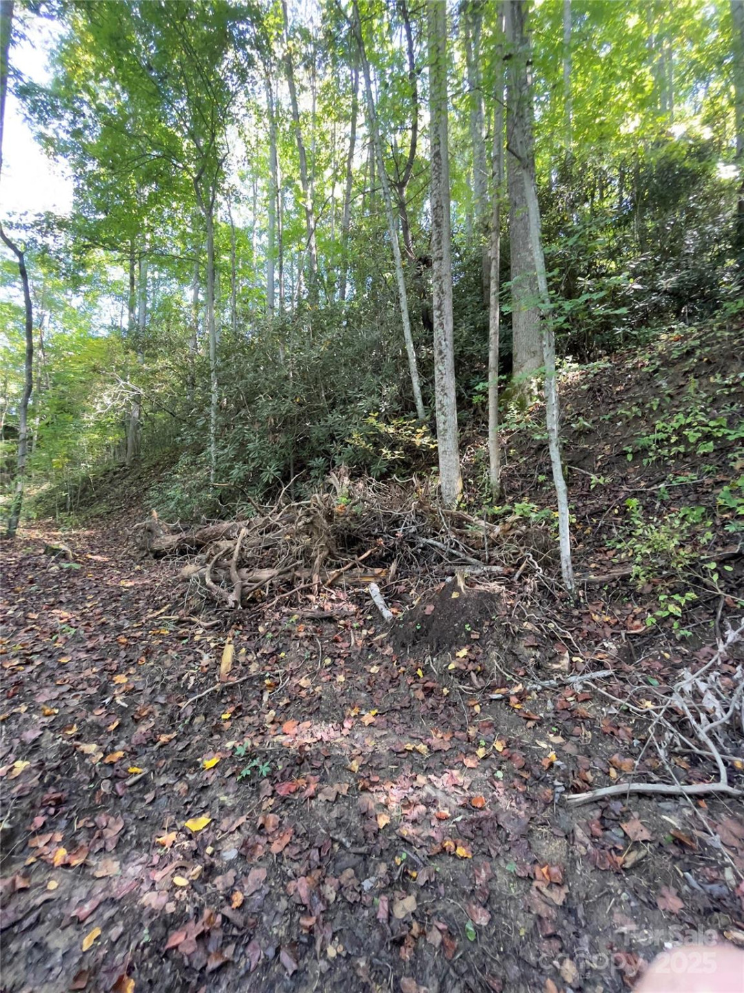 0 Empress Lane - Photo 22