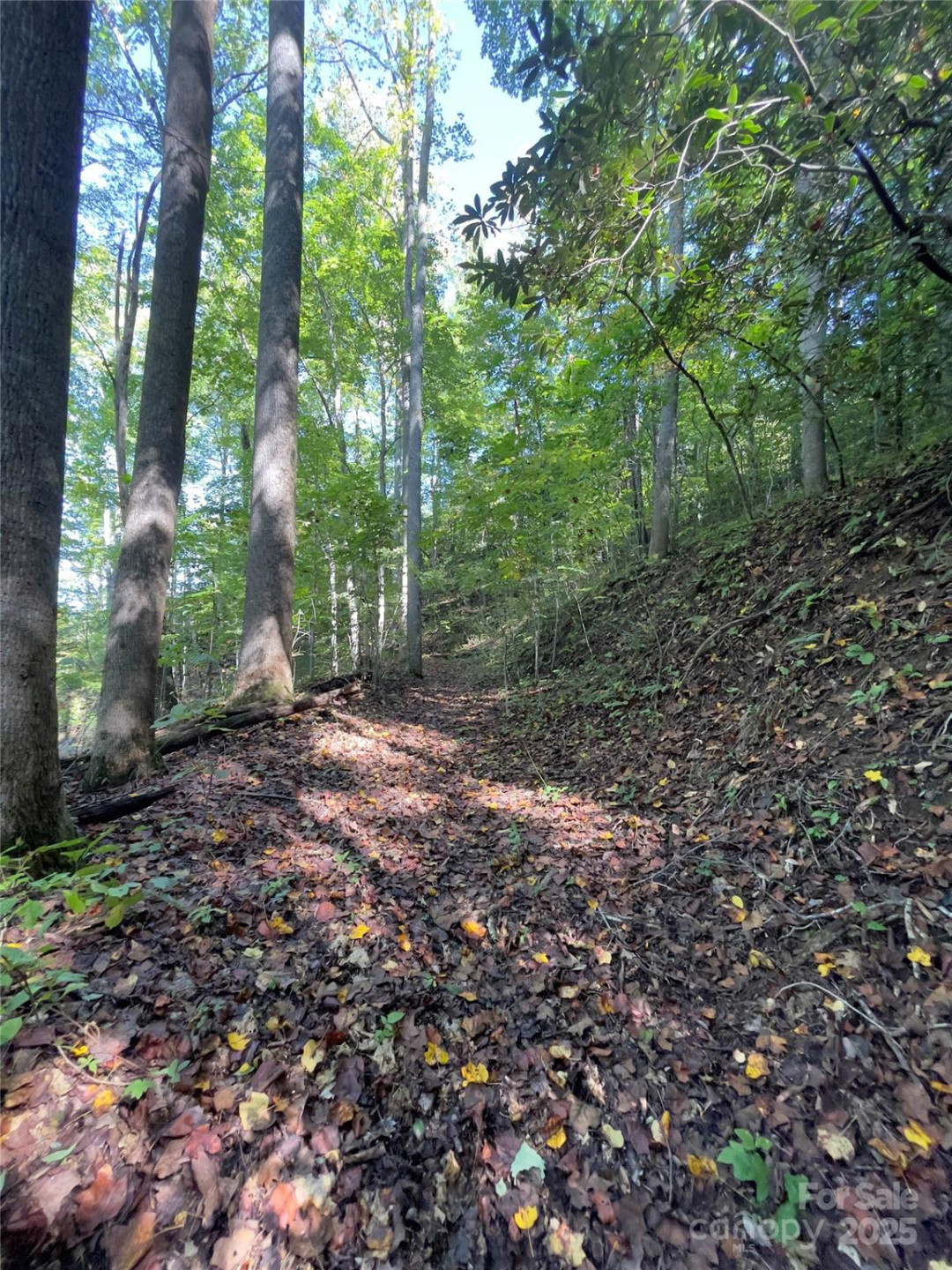 0 Empress Lane - Photo 23