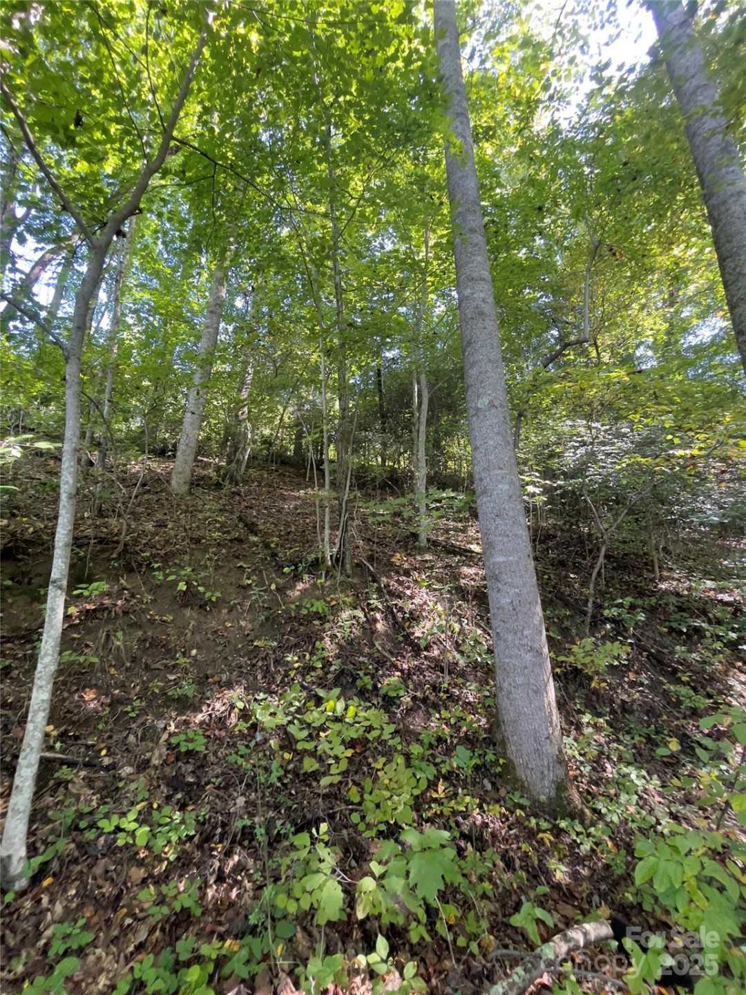 0 Empress Lane - Photo 25