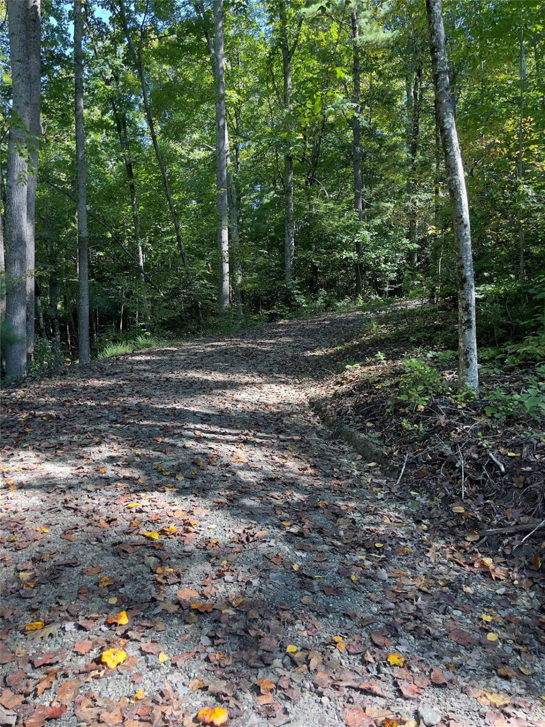 0 Empress Lane - Photo 26