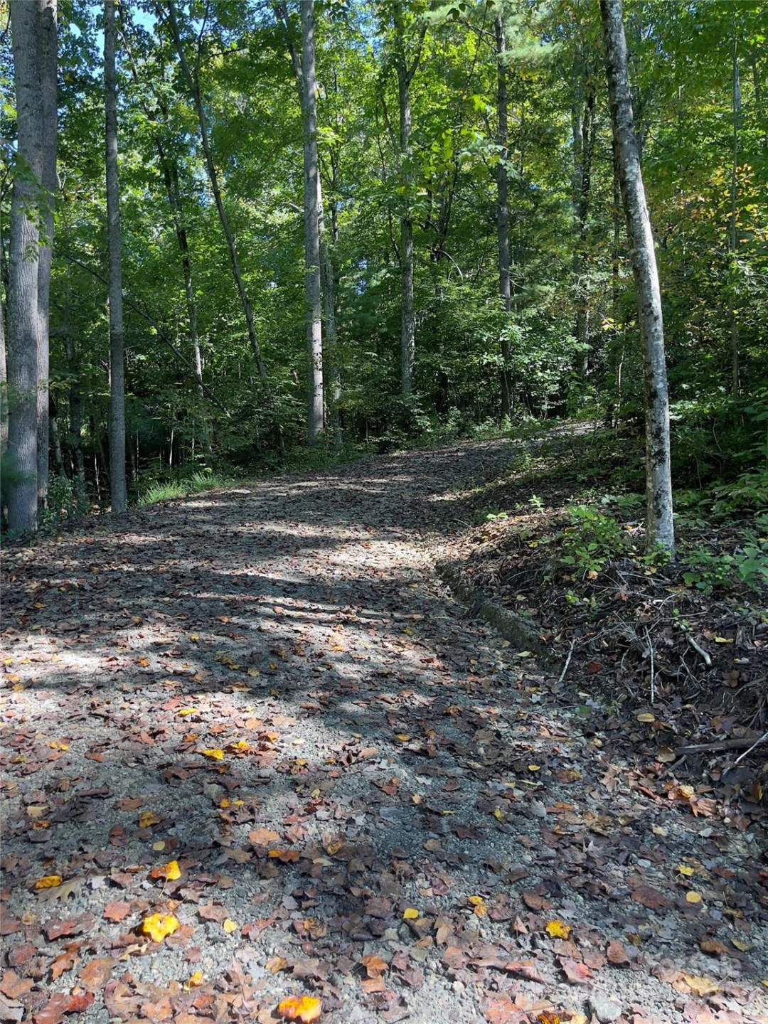 0 Empress Lane - Photo 26