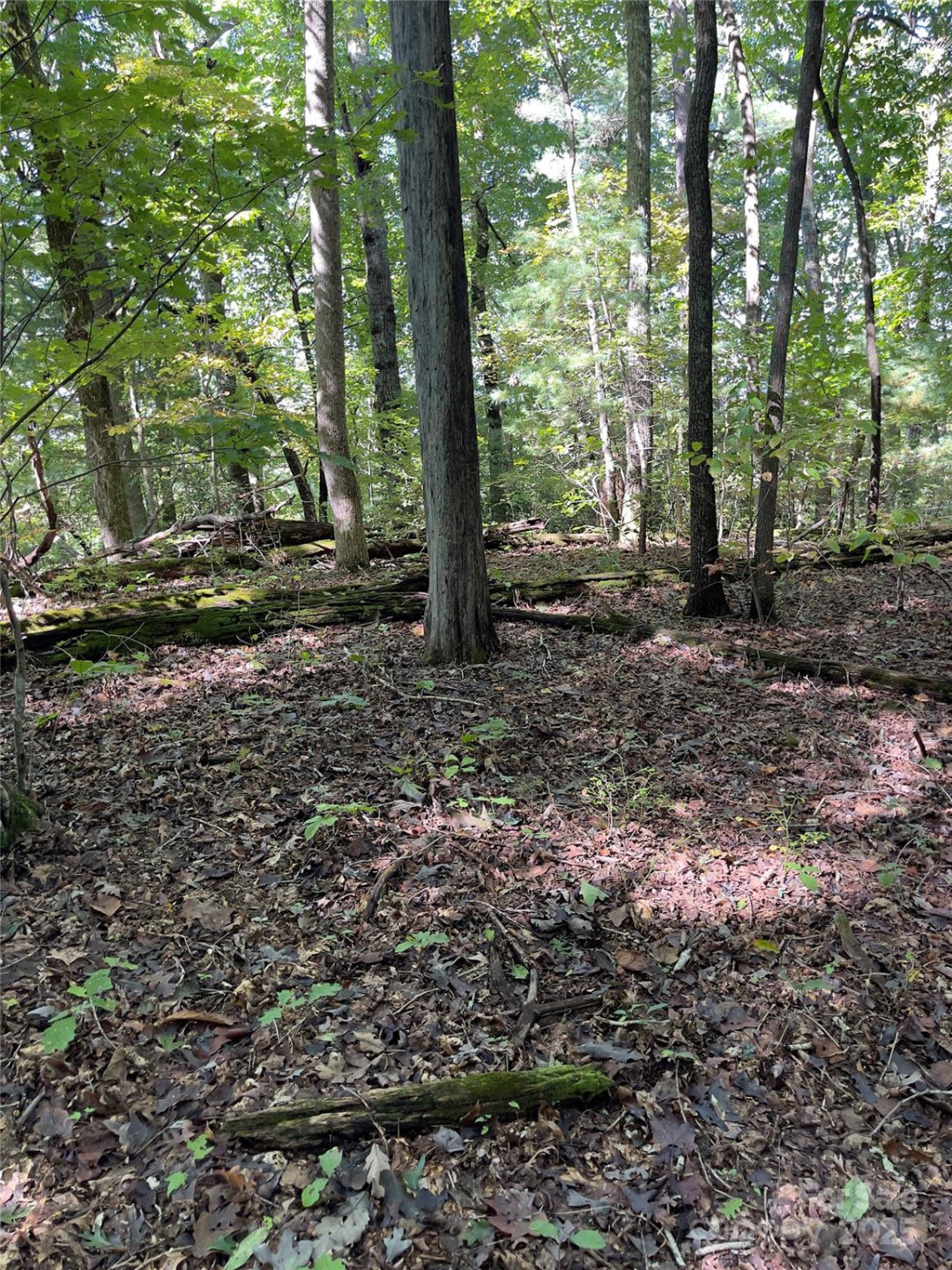 0 Empress Lane - Photo 4