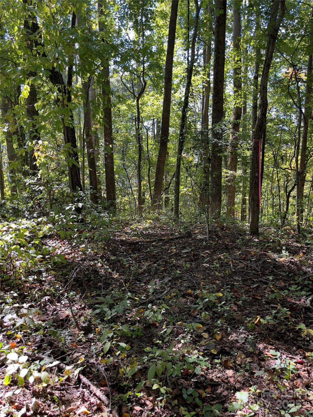 0 Empress Lane - Photo 5