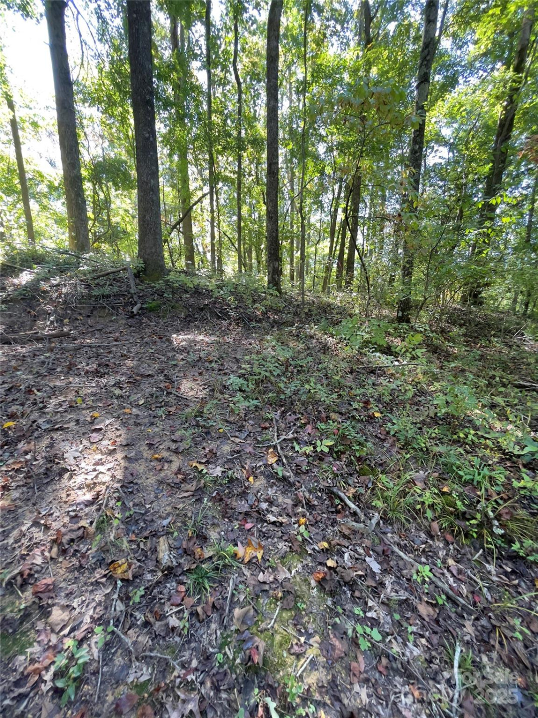 0 Empress Lane - Photo 6