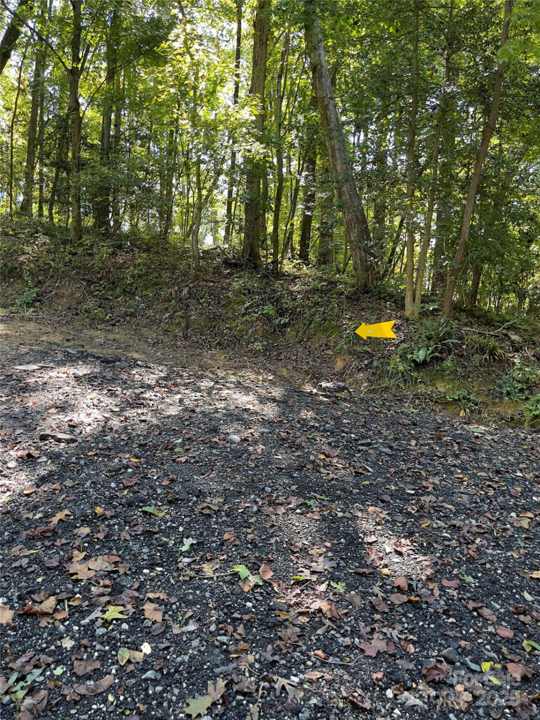 0 Empress Lane - Photo 7