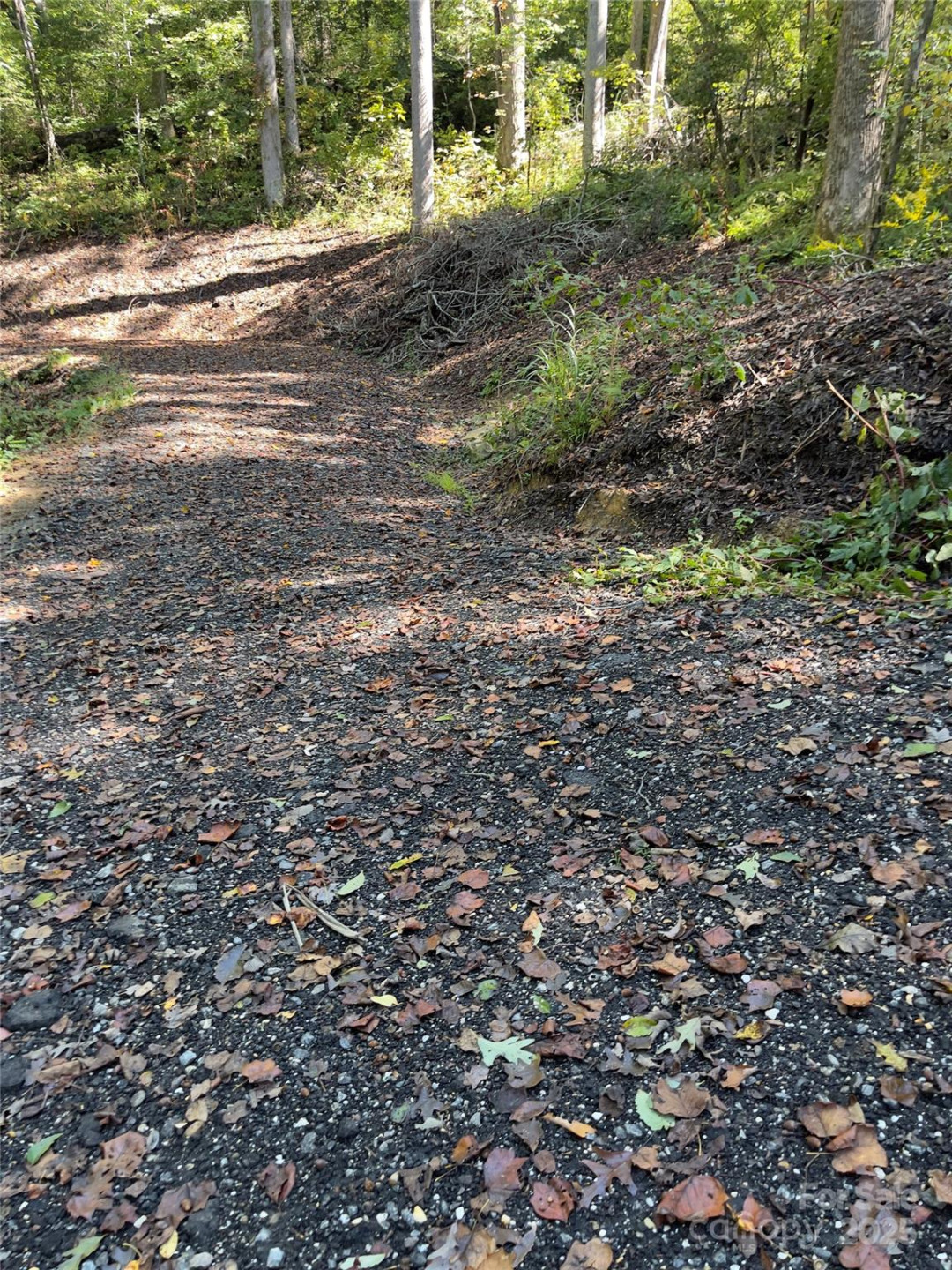 0 Empress Lane - Photo 8