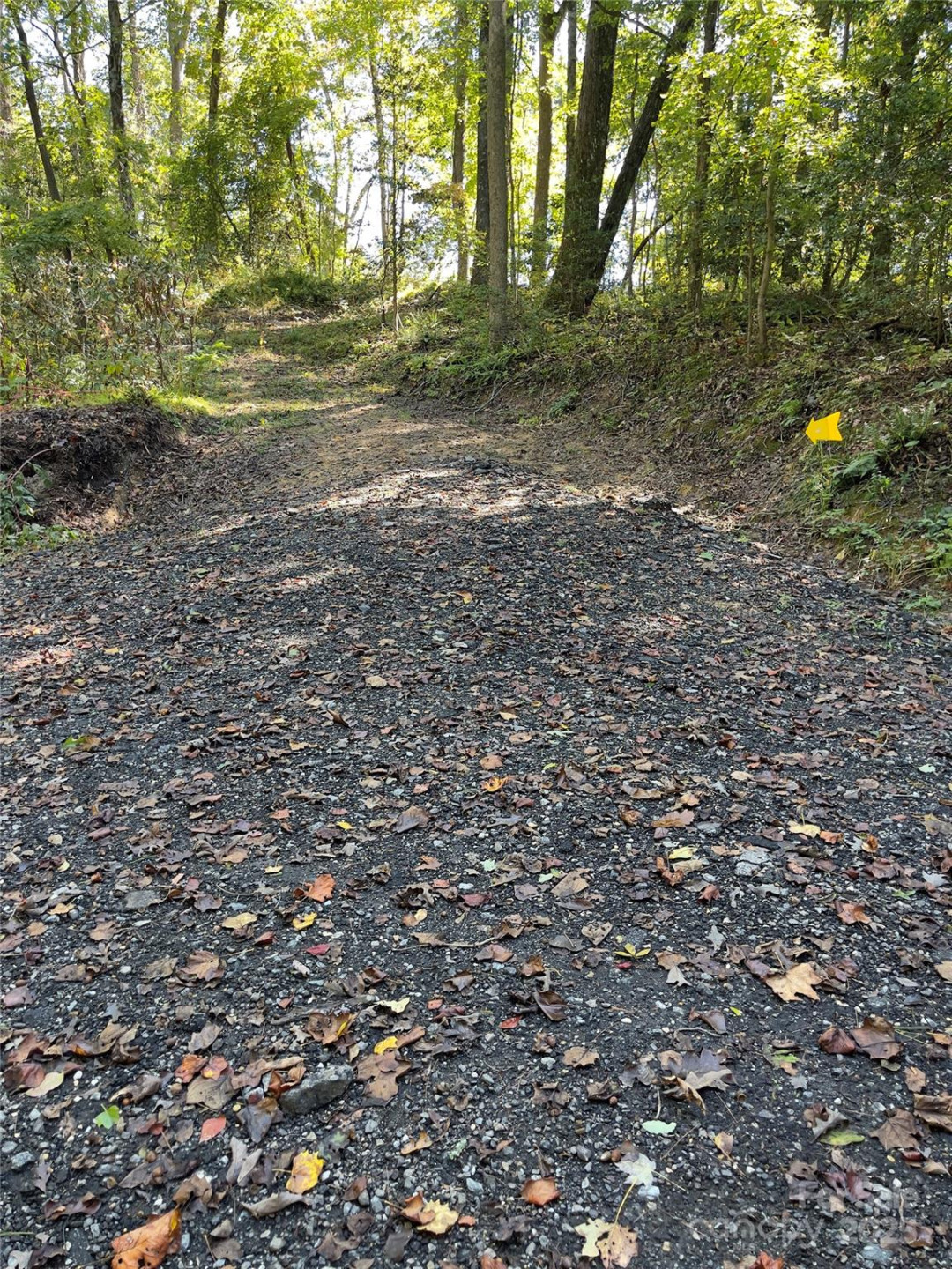 0 Empress Lane - Photo 9