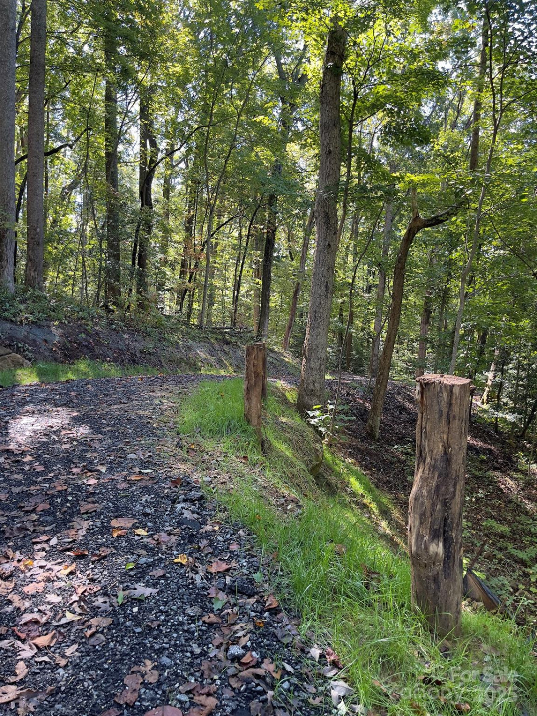 0 Empress Lane - Photo 10