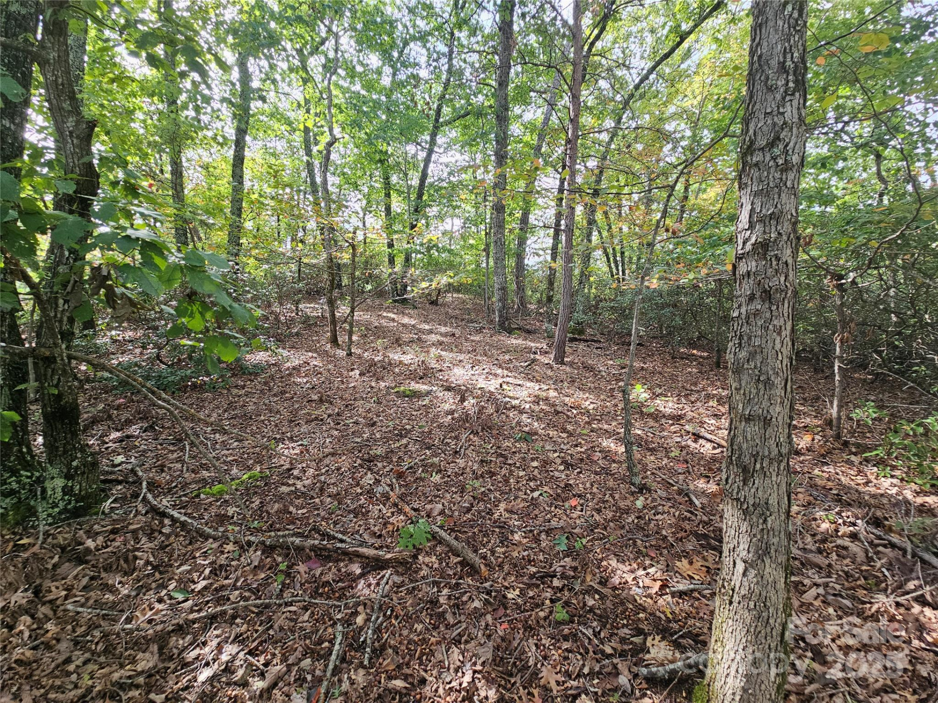 3634 Abee Farm Road - Photo 5