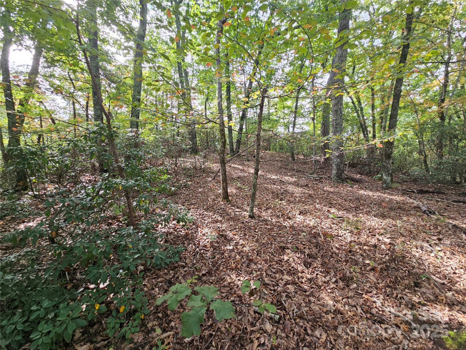 3634 Abee Farm Road - Photo 6