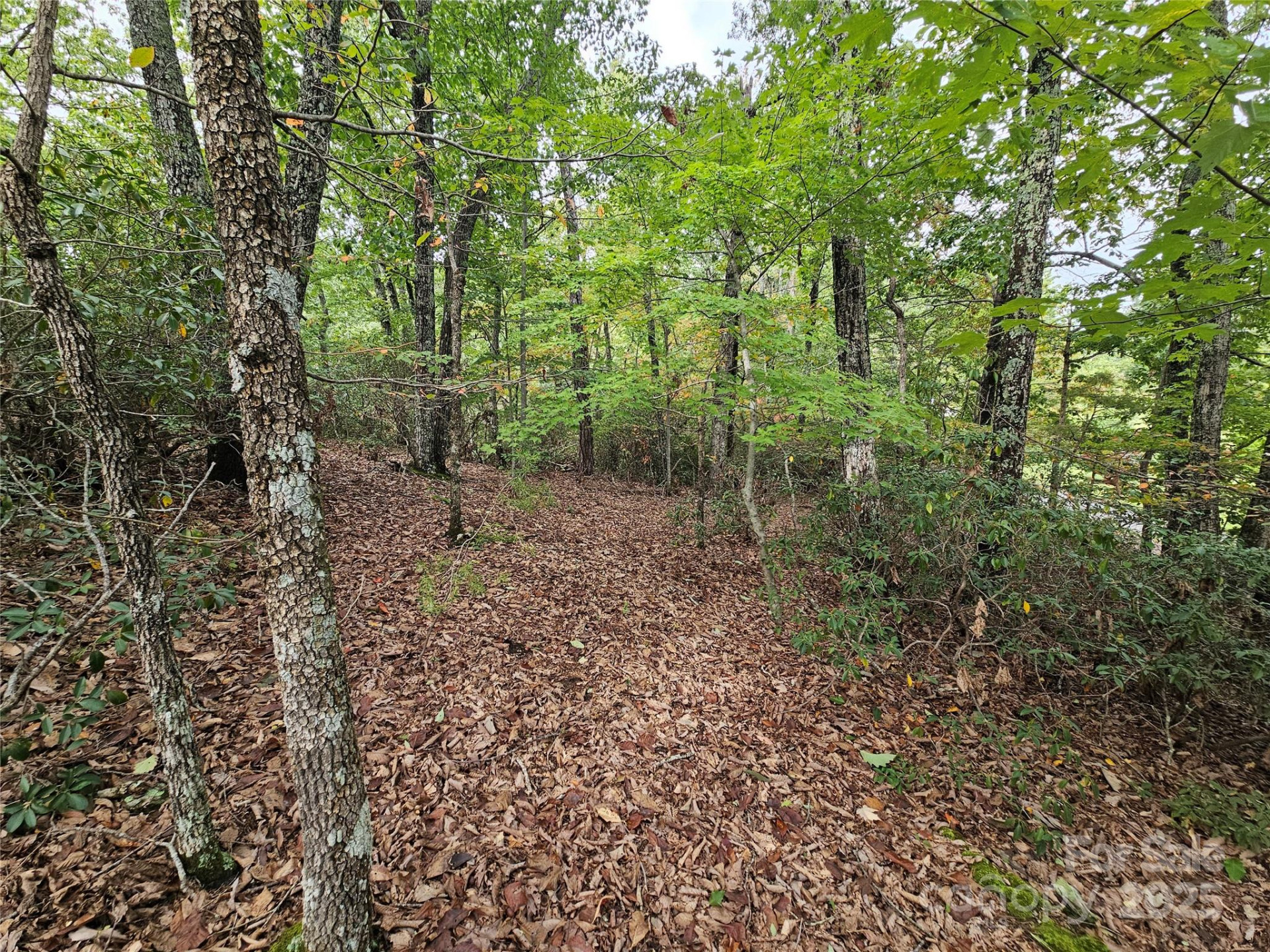 3634 Abee Farm Road - Photo 8