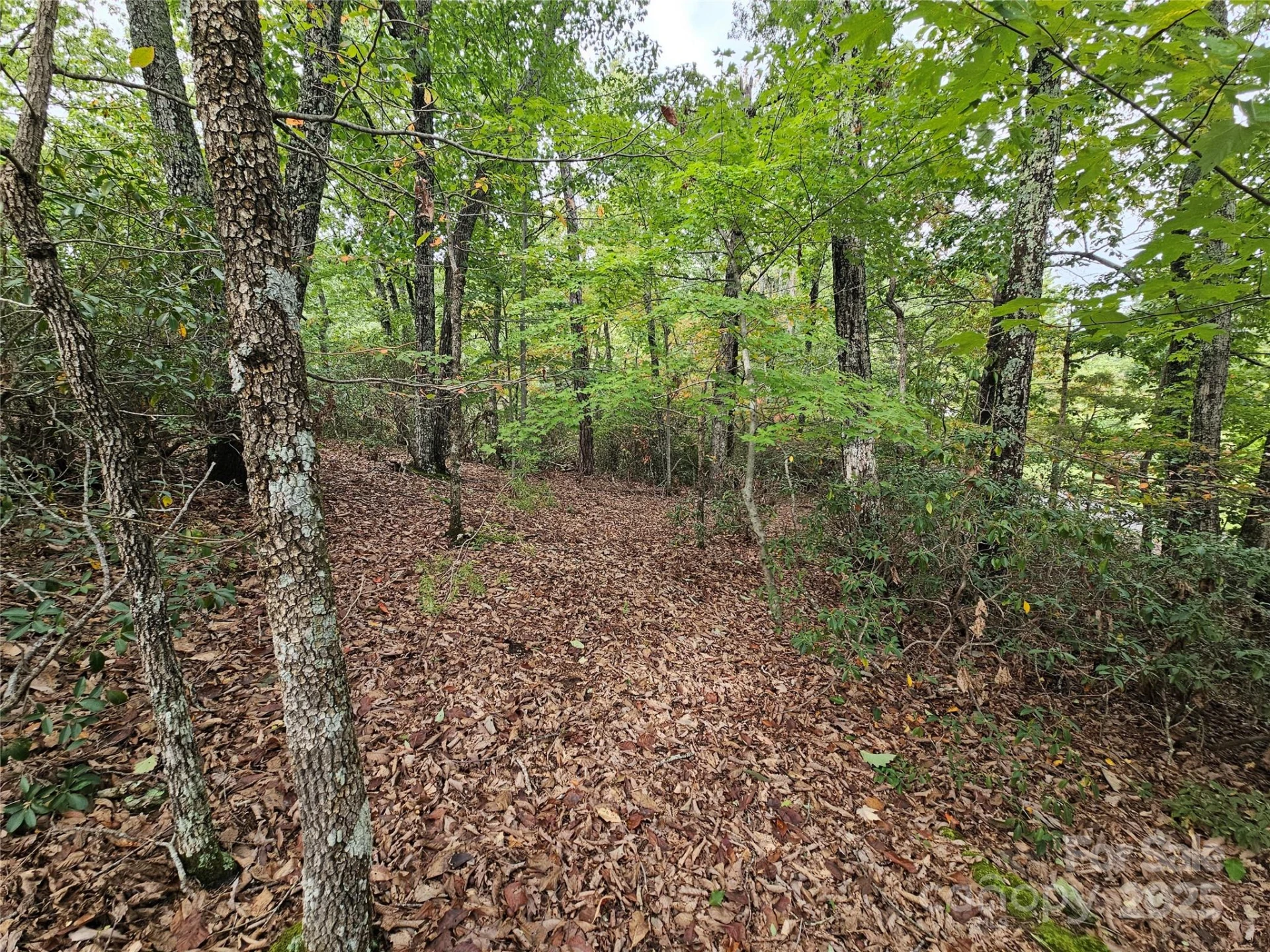 3634 Abee Farm Road - Photo 8