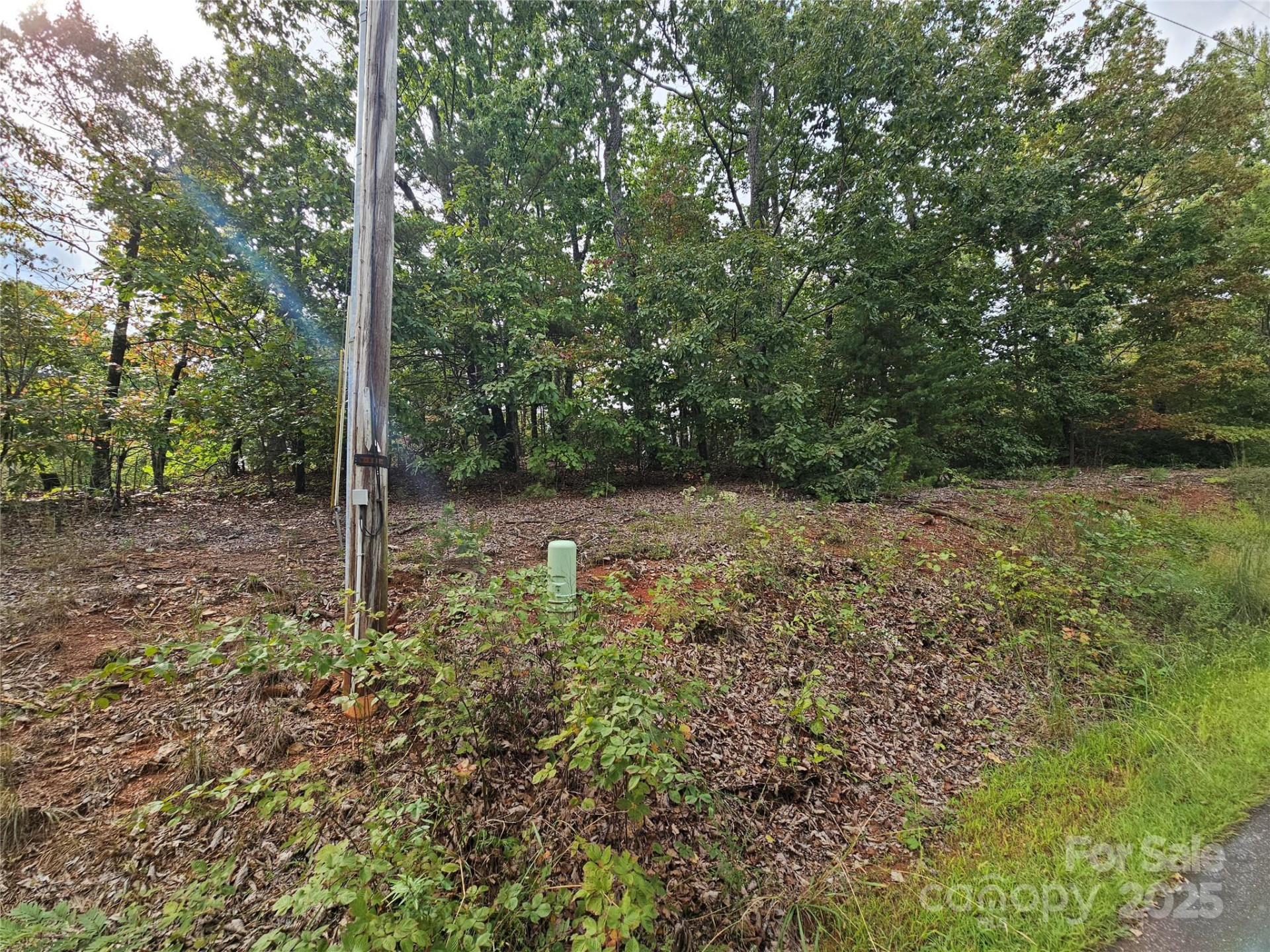 3634 Abee Farm Road - Photo 9