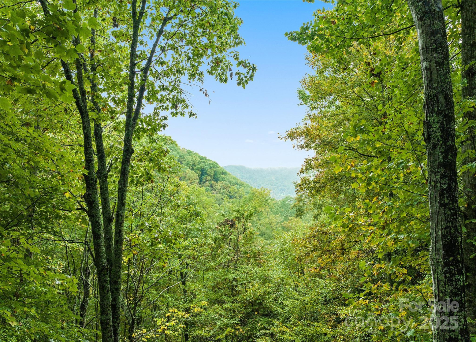 1664 Tawodi Trail - Photo 4