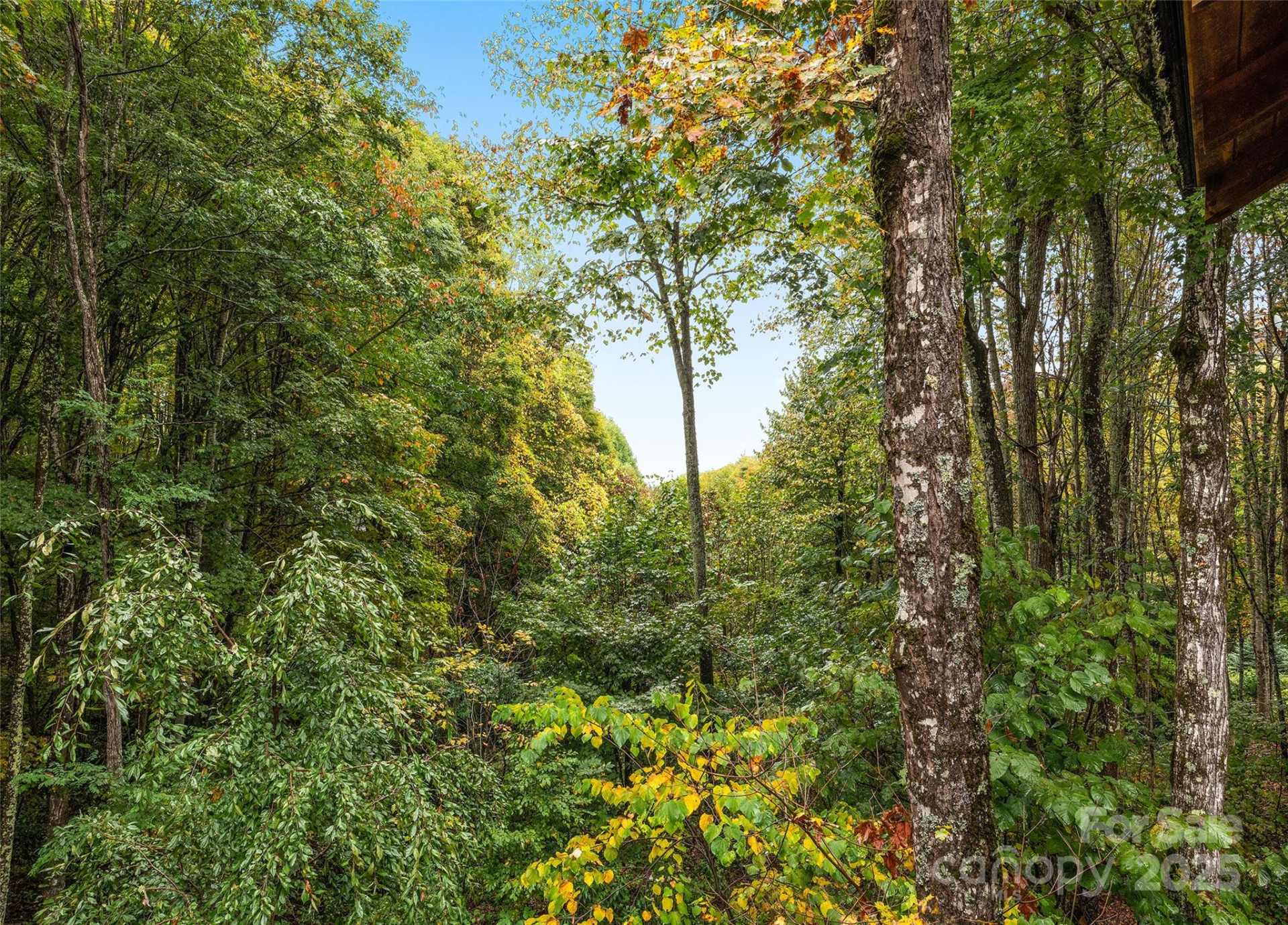 1664 Tawodi Trail - Photo 32