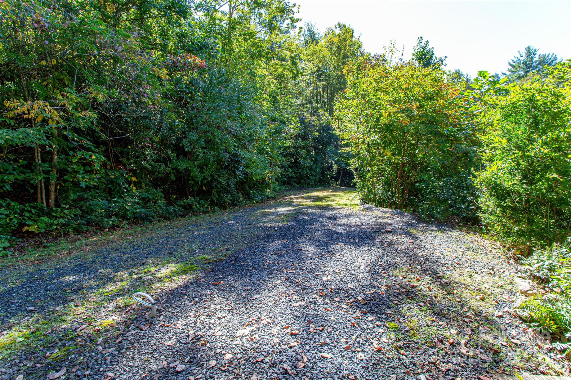 202 Duke Franklin Road - Photo 23