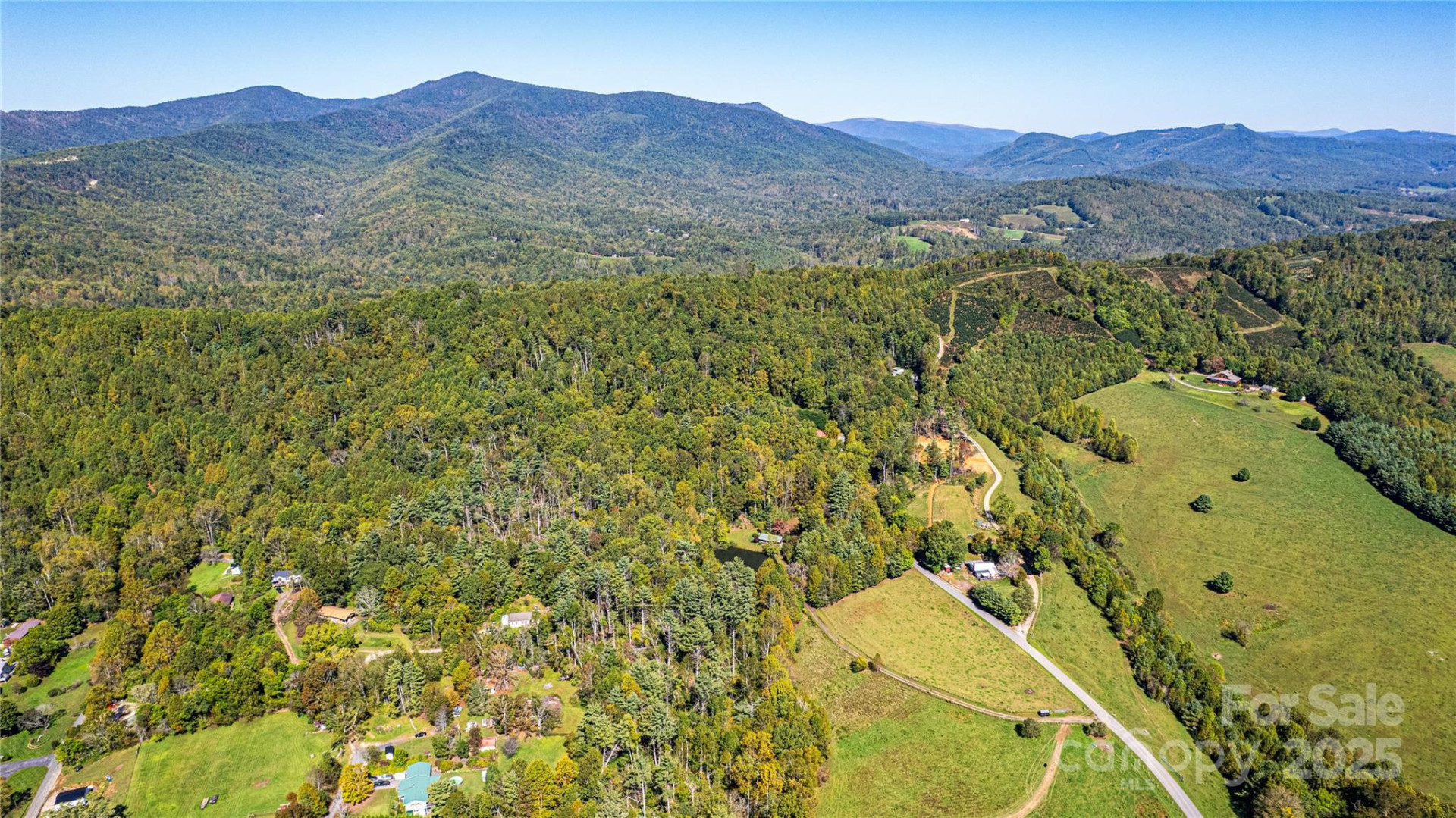 202 Duke Franklin Road - Photo 30