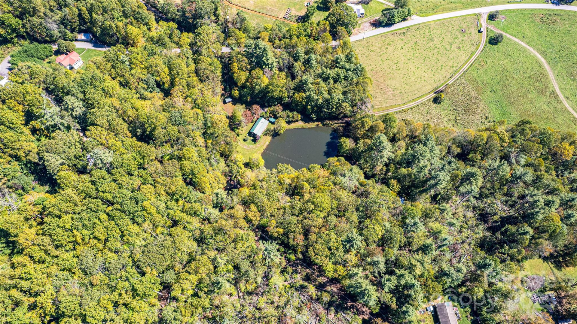 202 Duke Franklin Road - Photo 33