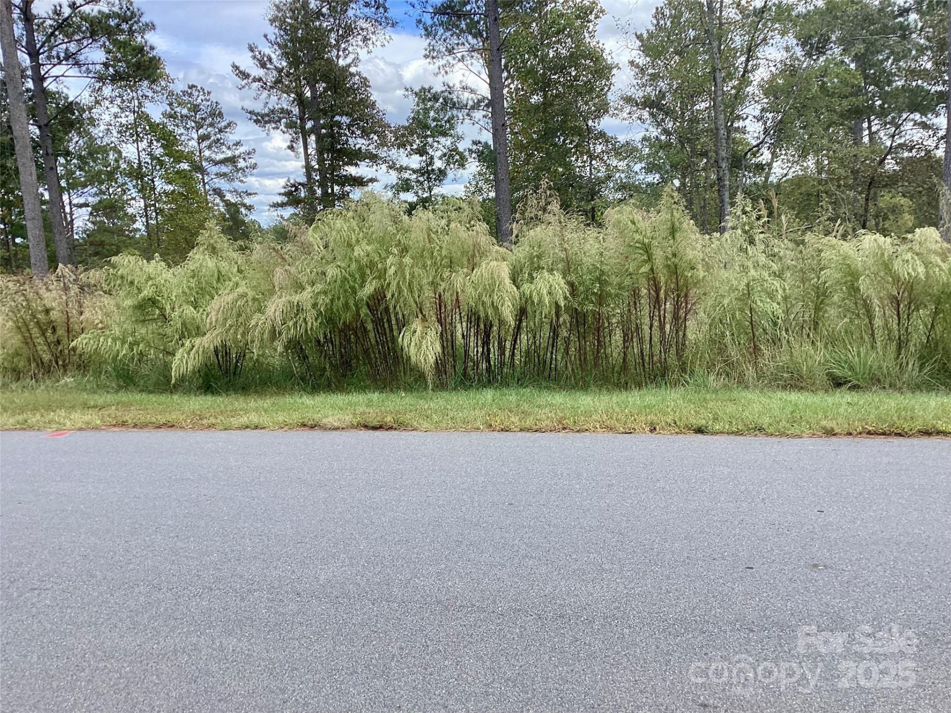 1818 Jumping Run #22