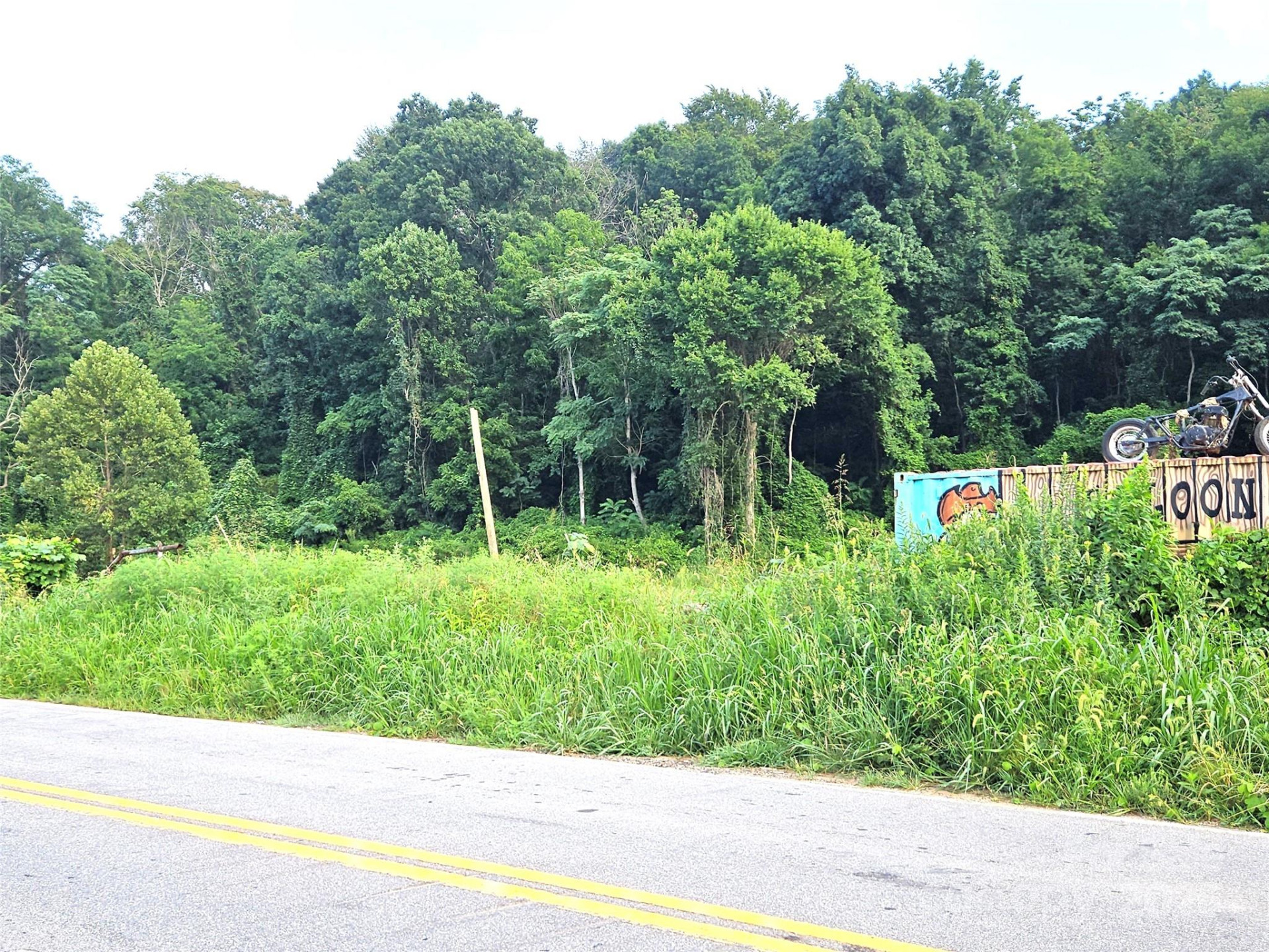 0 Swannanoa River Road - Photo 2