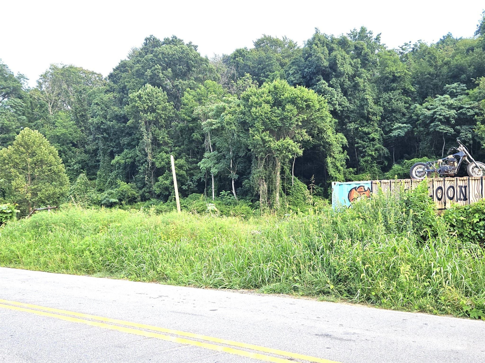 0 Swannanoa River Road - Photo 10