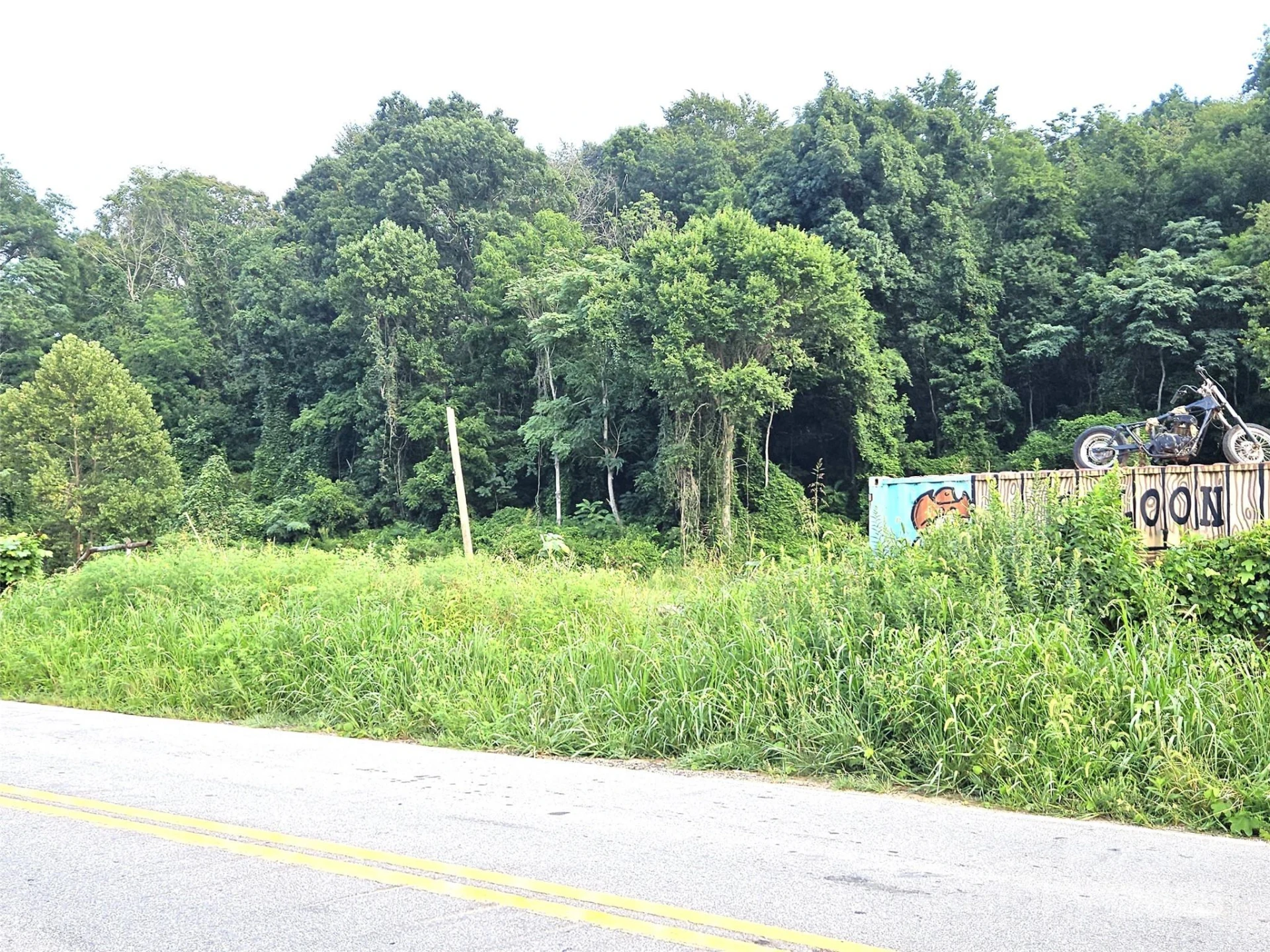 0 Swannanoa River Road - Photo 10