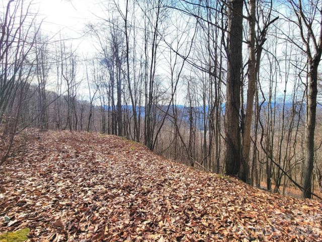 75 Rimrock Ridge, Clyde, NC, 28721