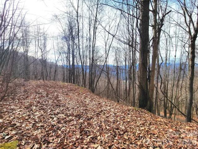 75 Rimrock Ridge, Clyde, NC, 28721