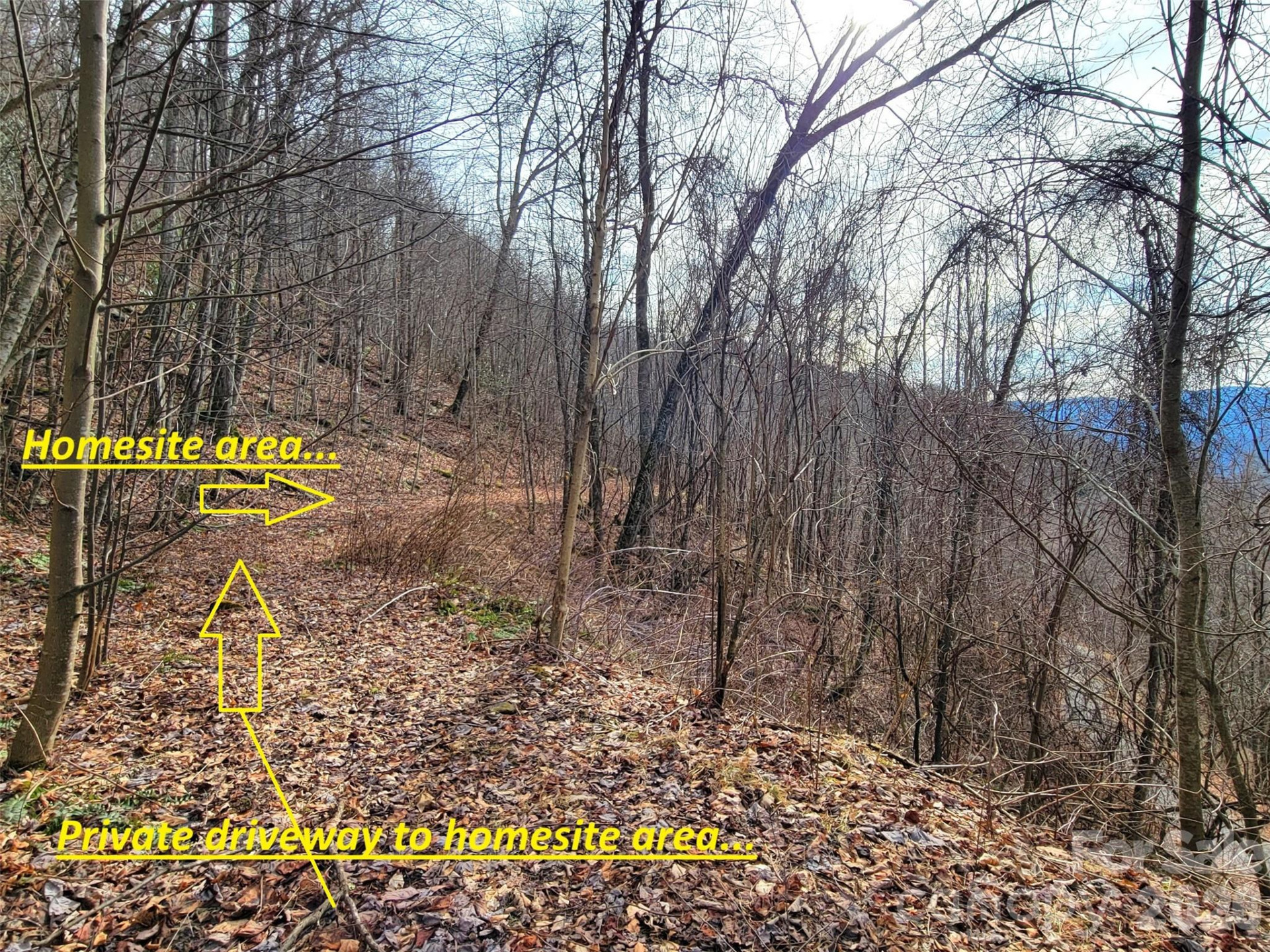 75 Rimrock Ridge #I - Photo 2