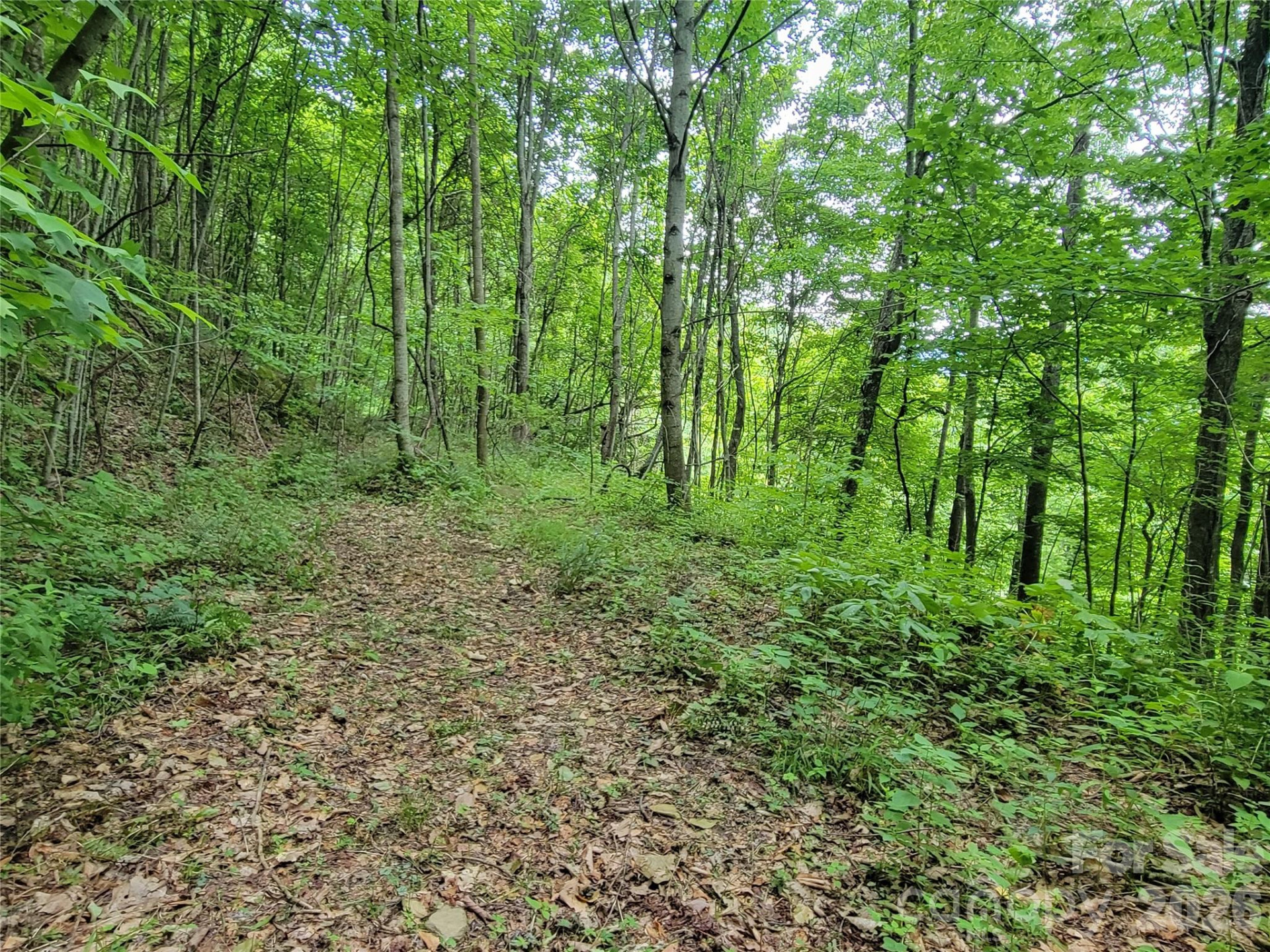 75 Rimrock Ridge #I - Photo 11