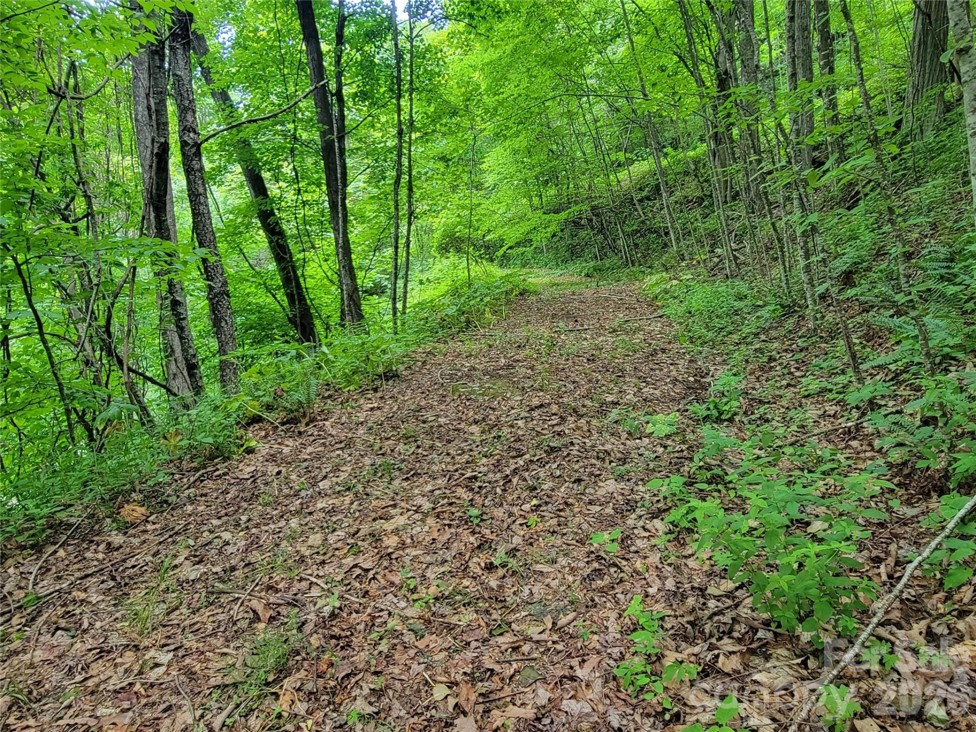 75 Rimrock Ridge #I - Photo 12