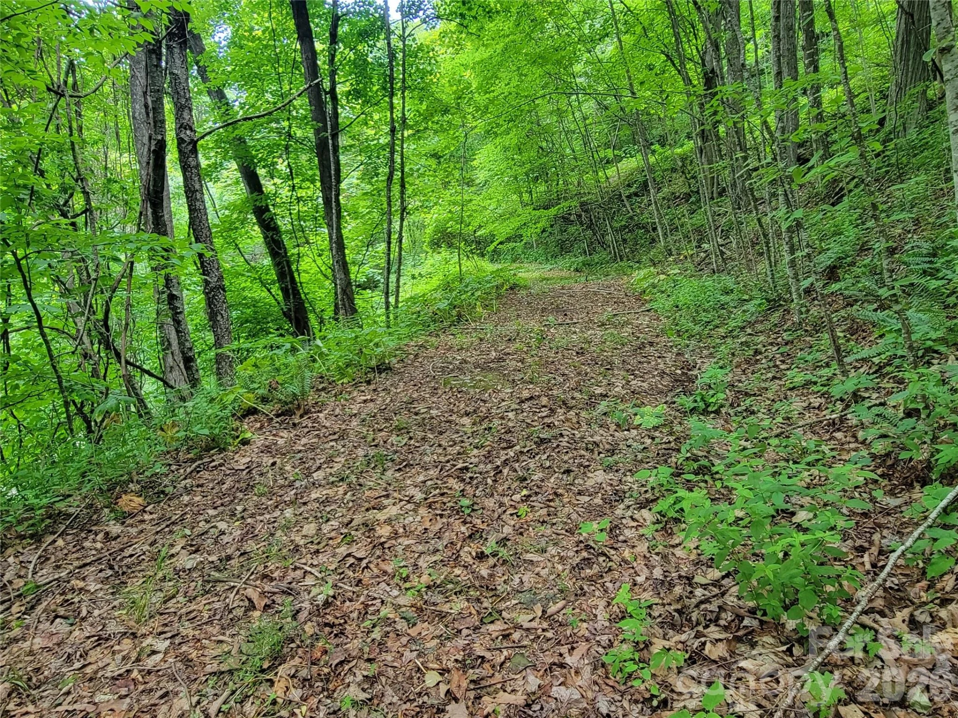 75 Rimrock Ridge #I - Photo 12