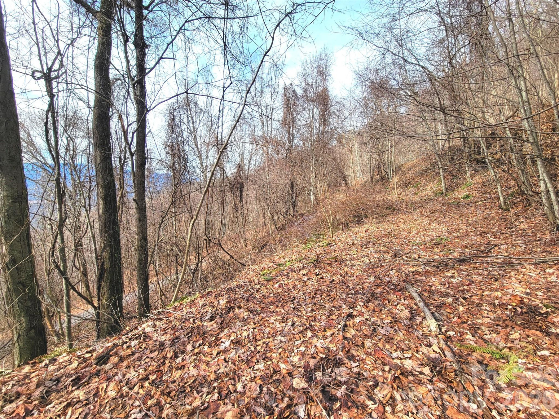 75 Rimrock Ridge #I - Photo 13