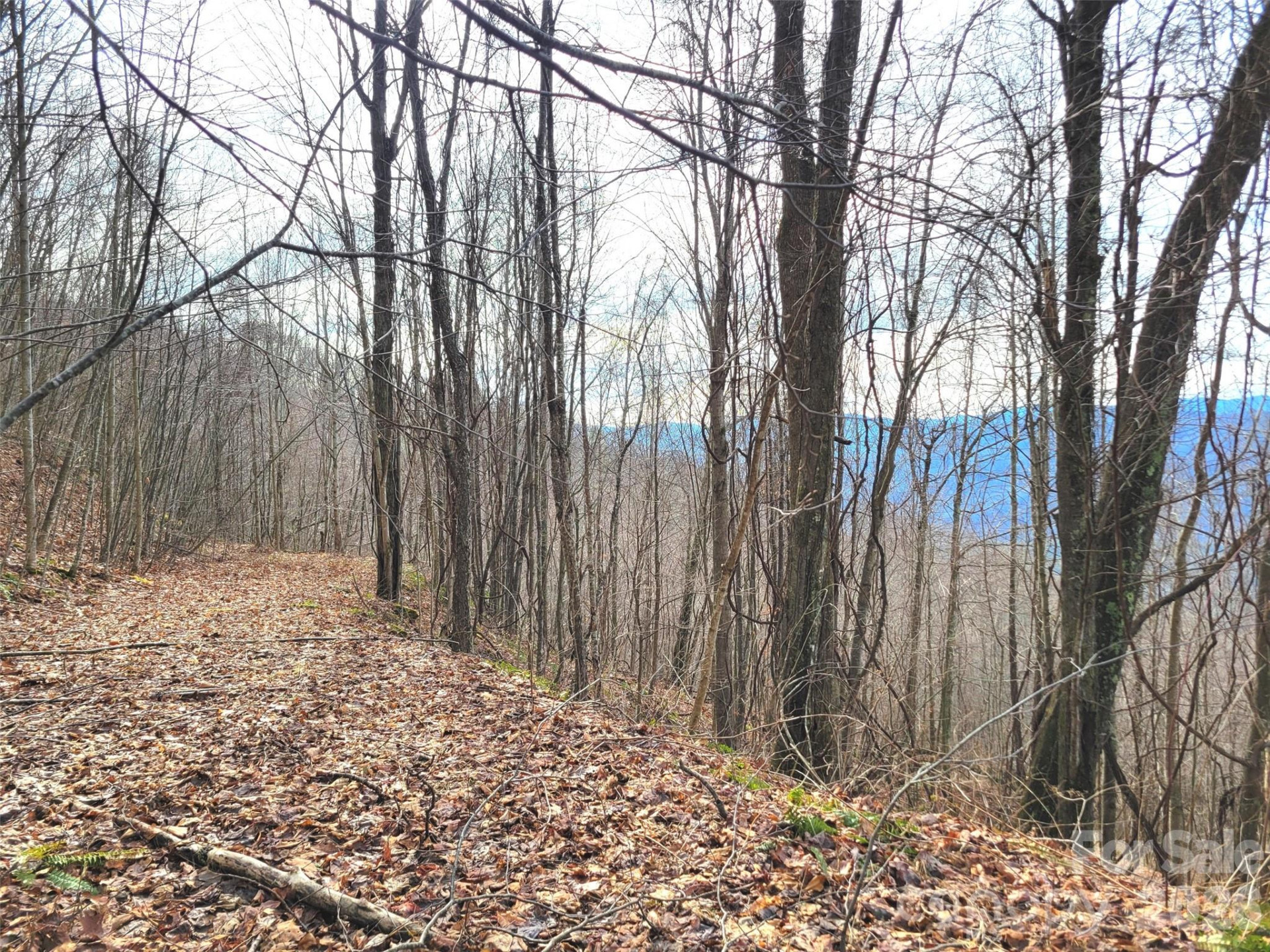 75 Rimrock Ridge #I - Photo 15