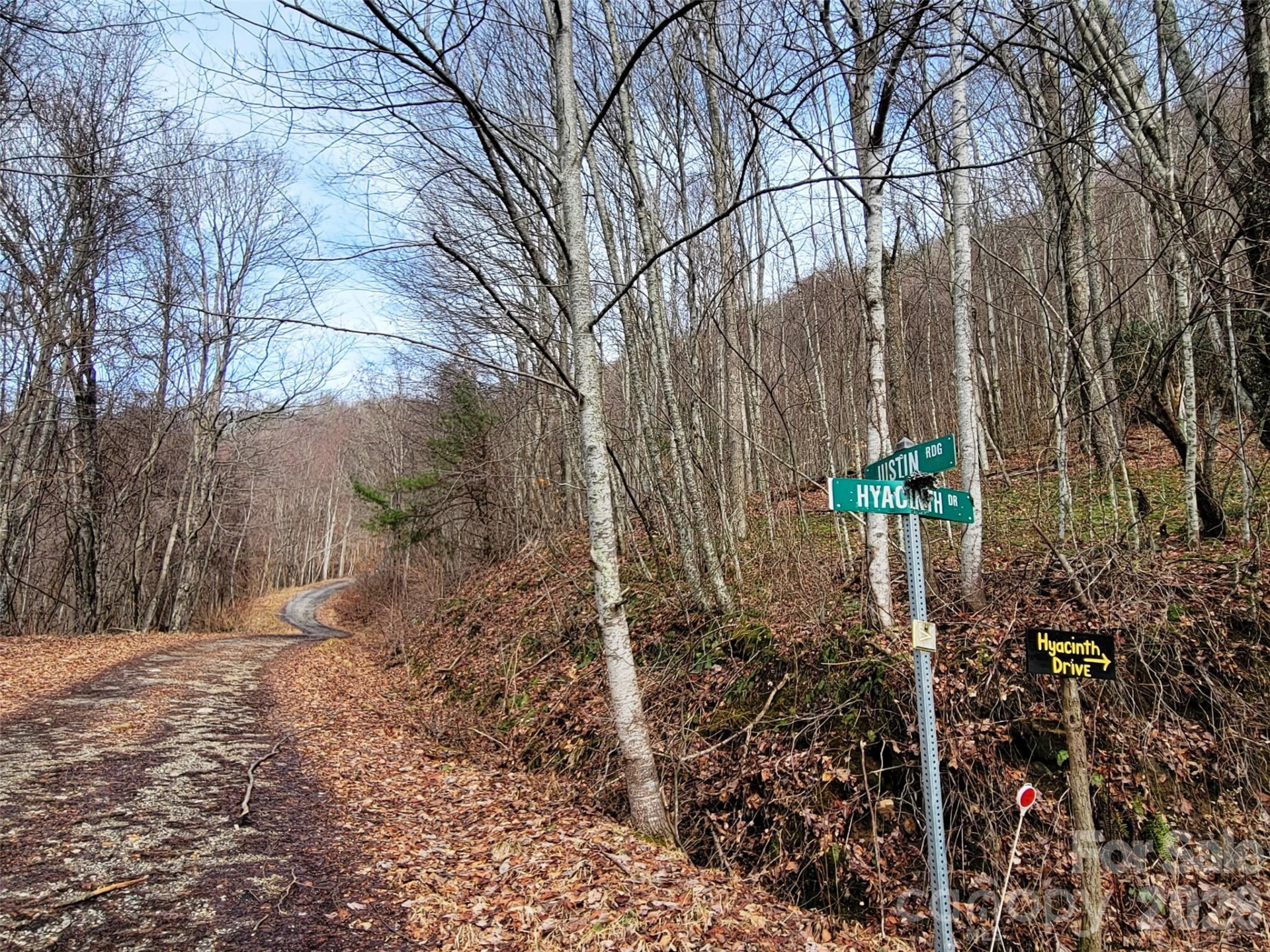 75 Rimrock Ridge #I - Photo 16