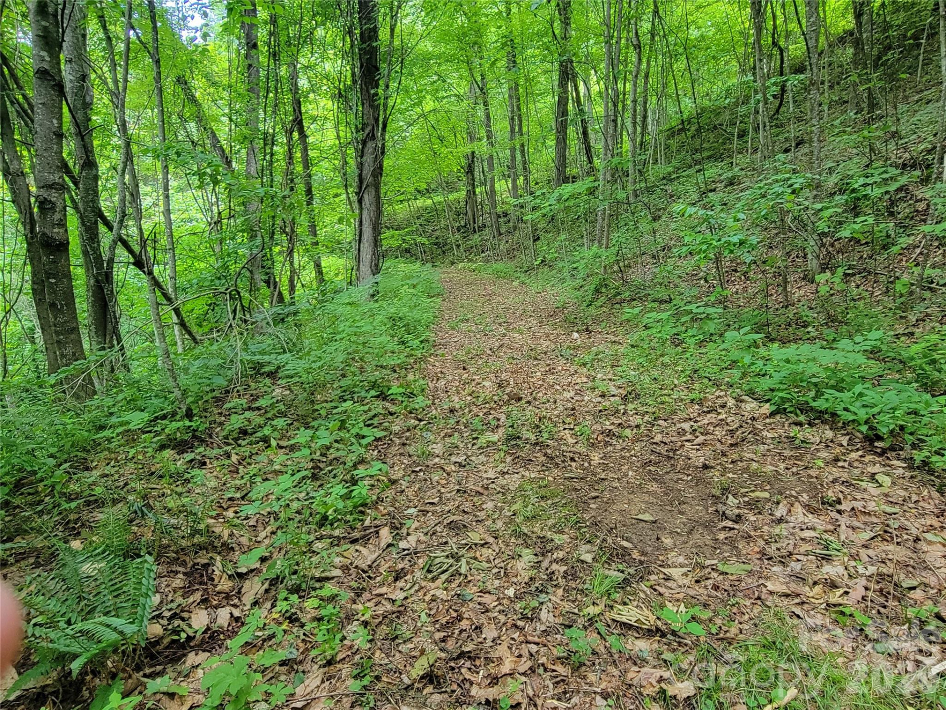 75 Rimrock Ridge #I - Photo 4