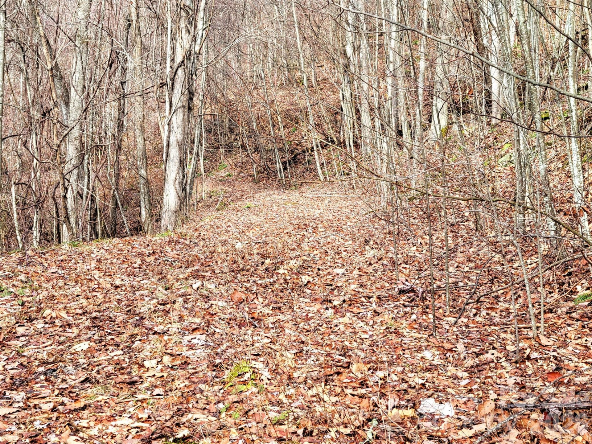 75 Rimrock Ridge #I - Photo 7