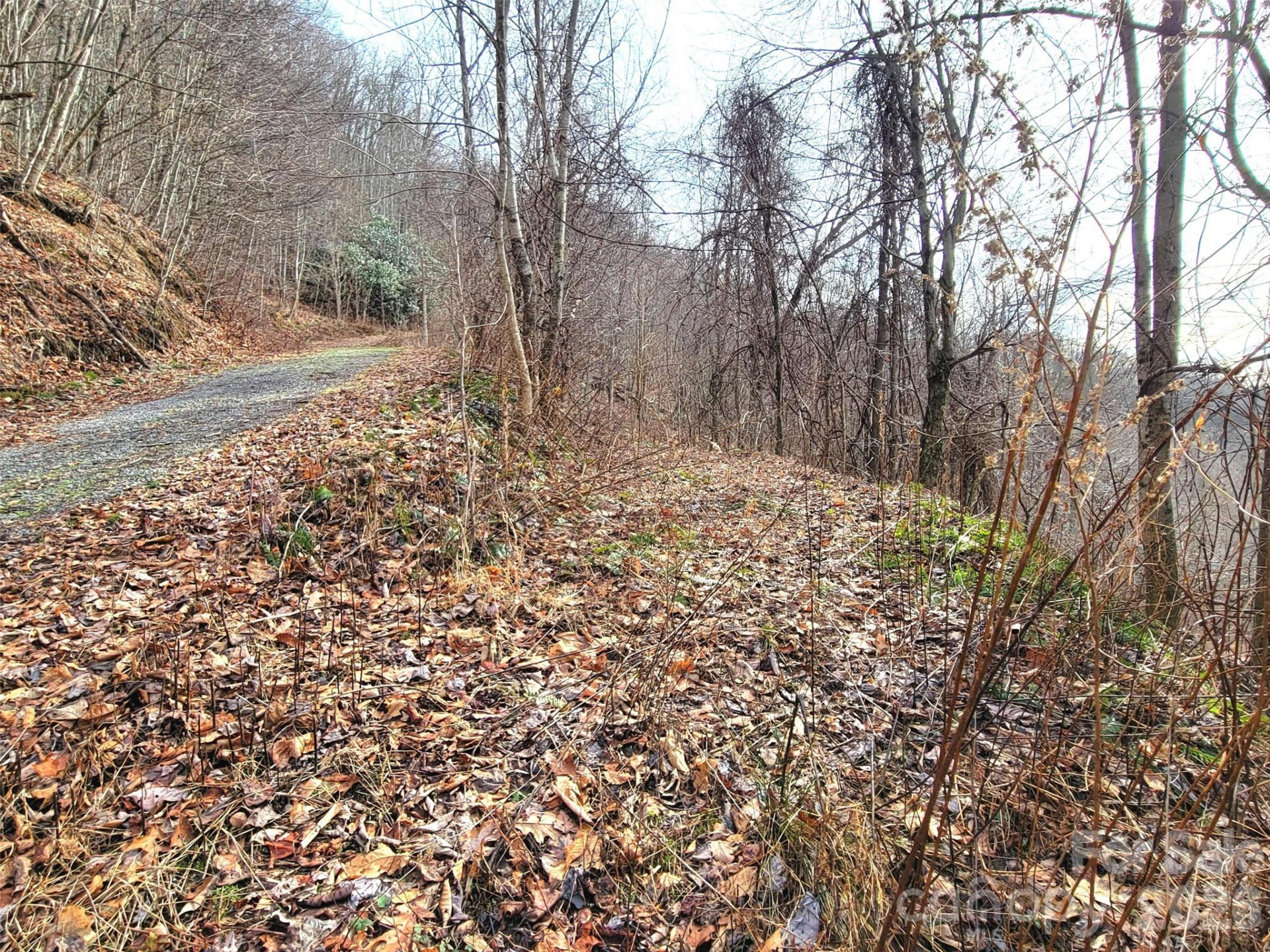 75 Rimrock Ridge #I - Photo 9