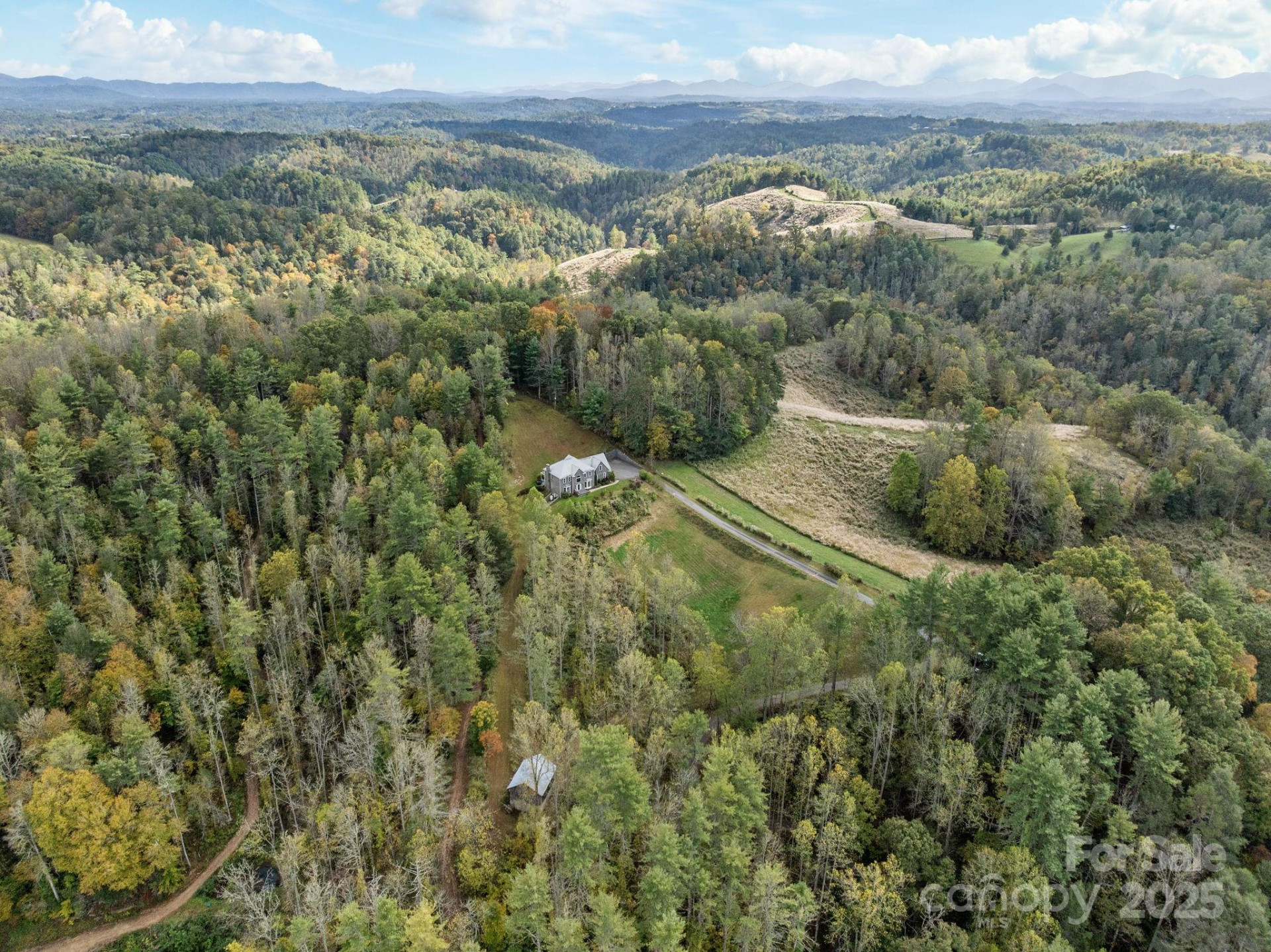 235 Petersburg View Drive - Photo 4