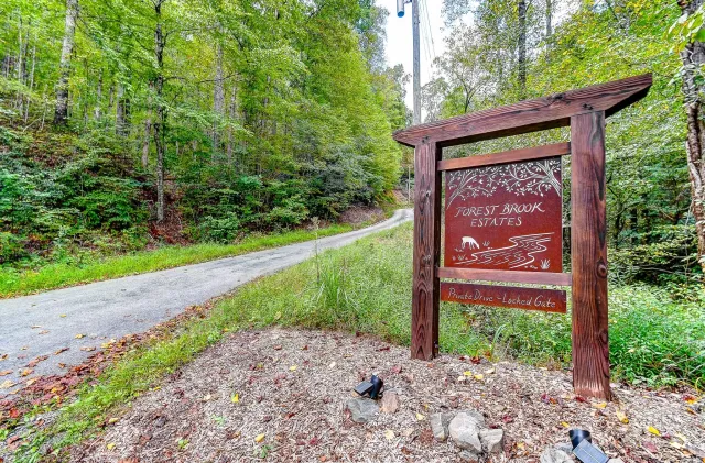 99999 Forest Brook Drive