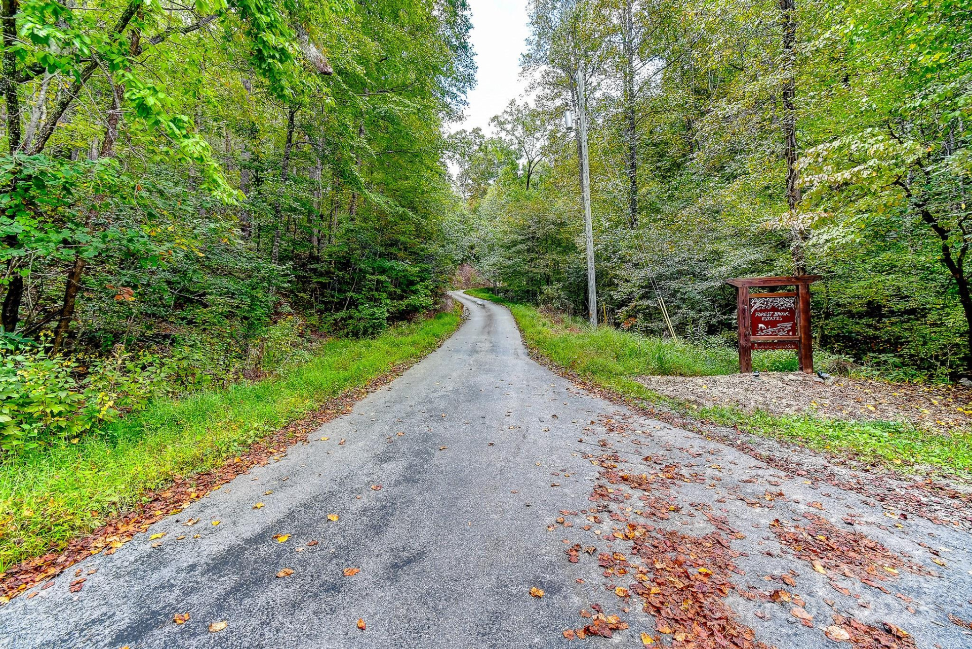 99999 Forest Brook Drive - Photo 11