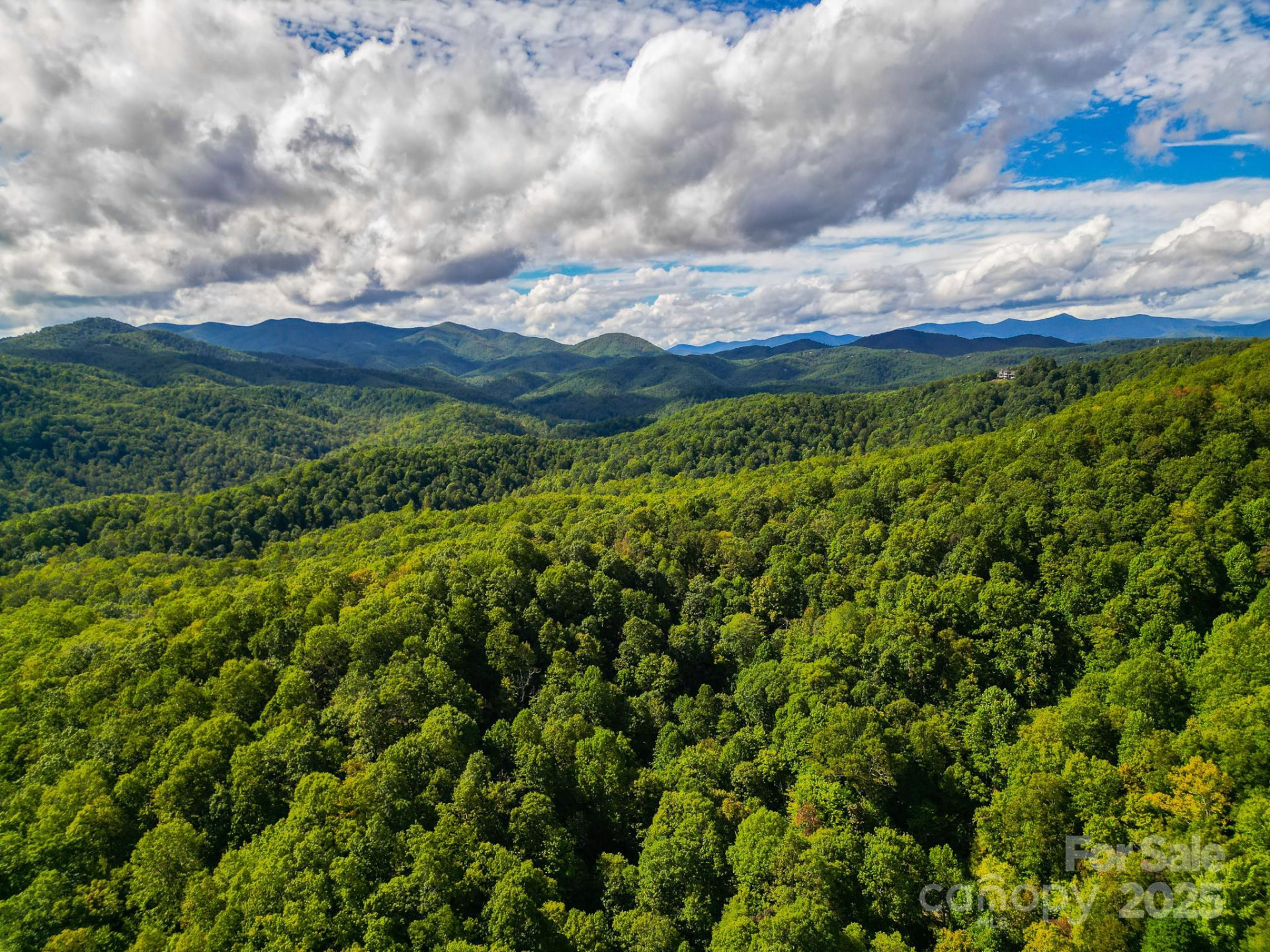 99999 Forest Brook Drive - Photo 12