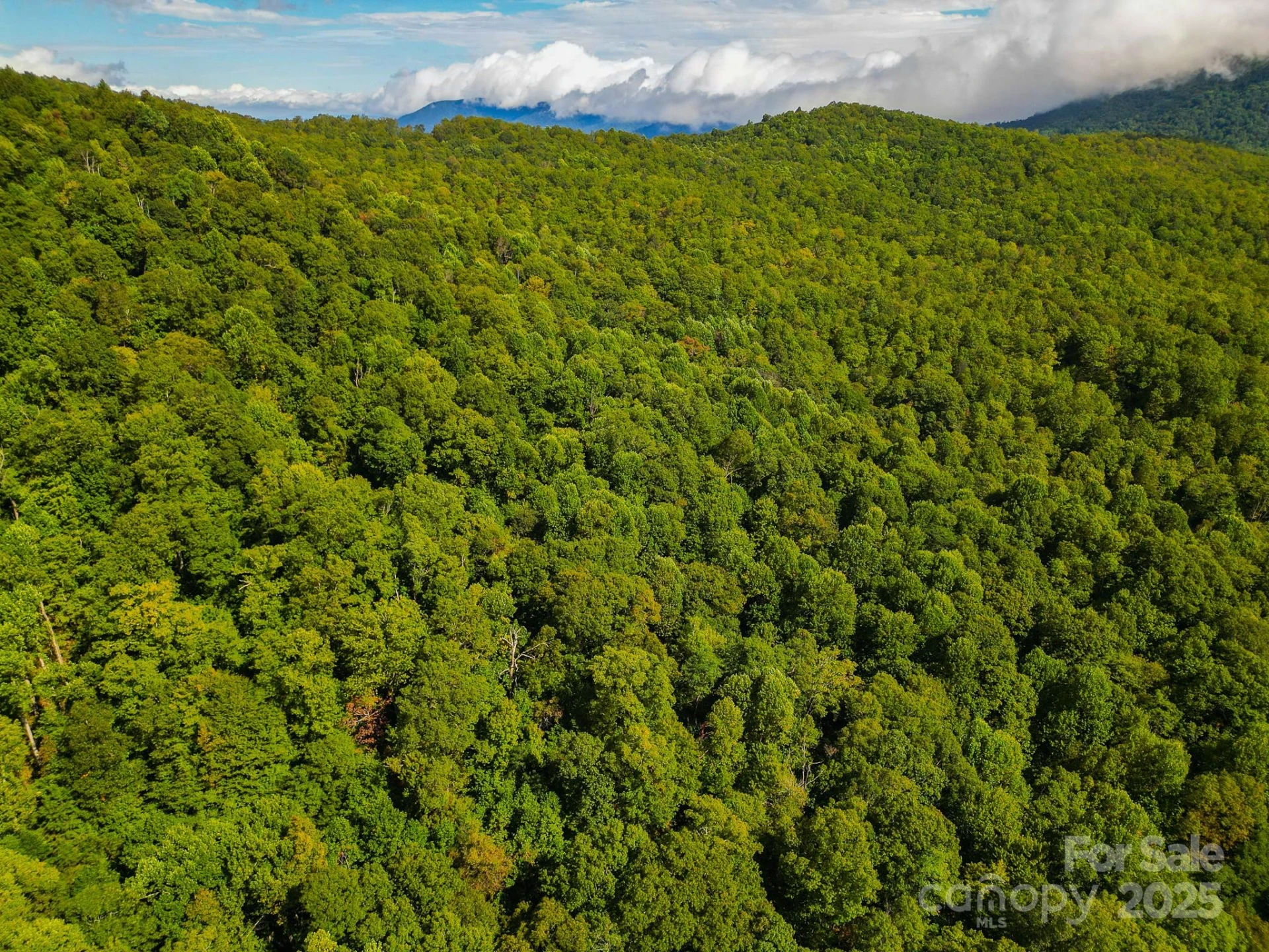 99999 Forest Brook Drive - Photo 13
