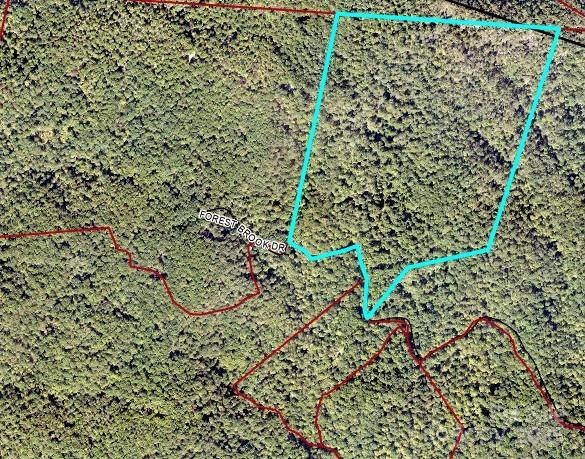 99999 Forest Brook Drive - Photo 14