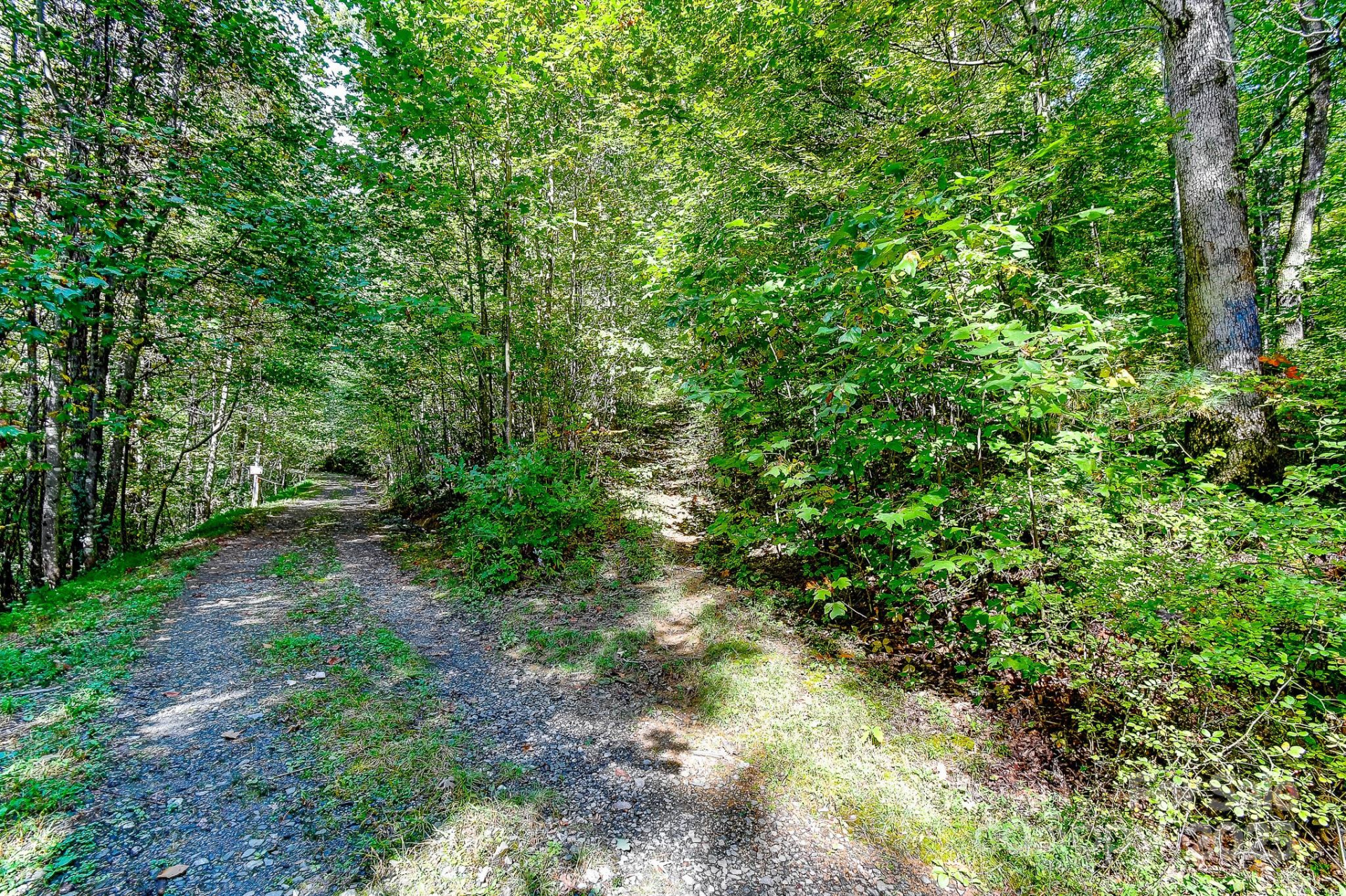 99999 Forest Brook Drive - Photo 3