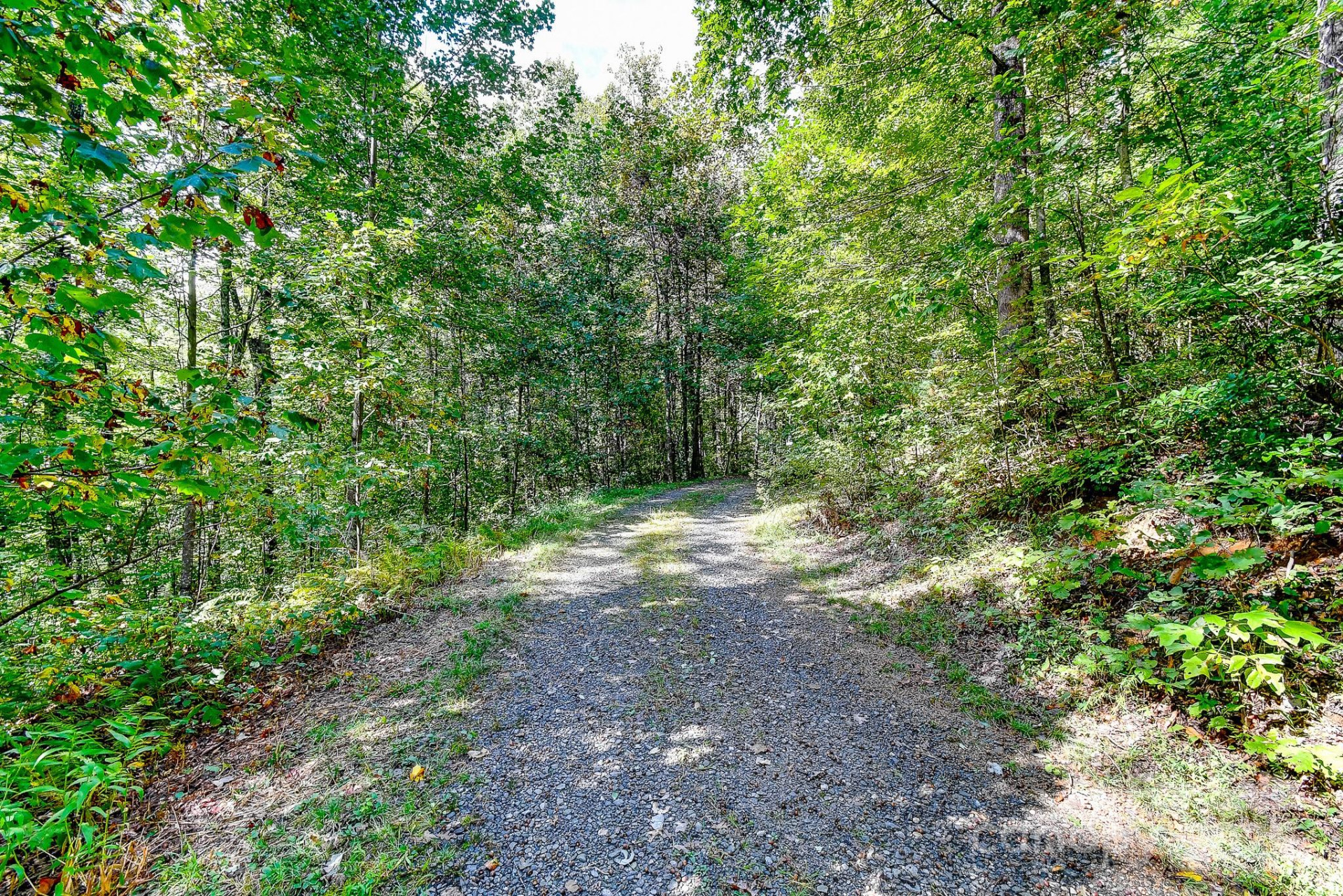 99999 Forest Brook Drive - Photo 4