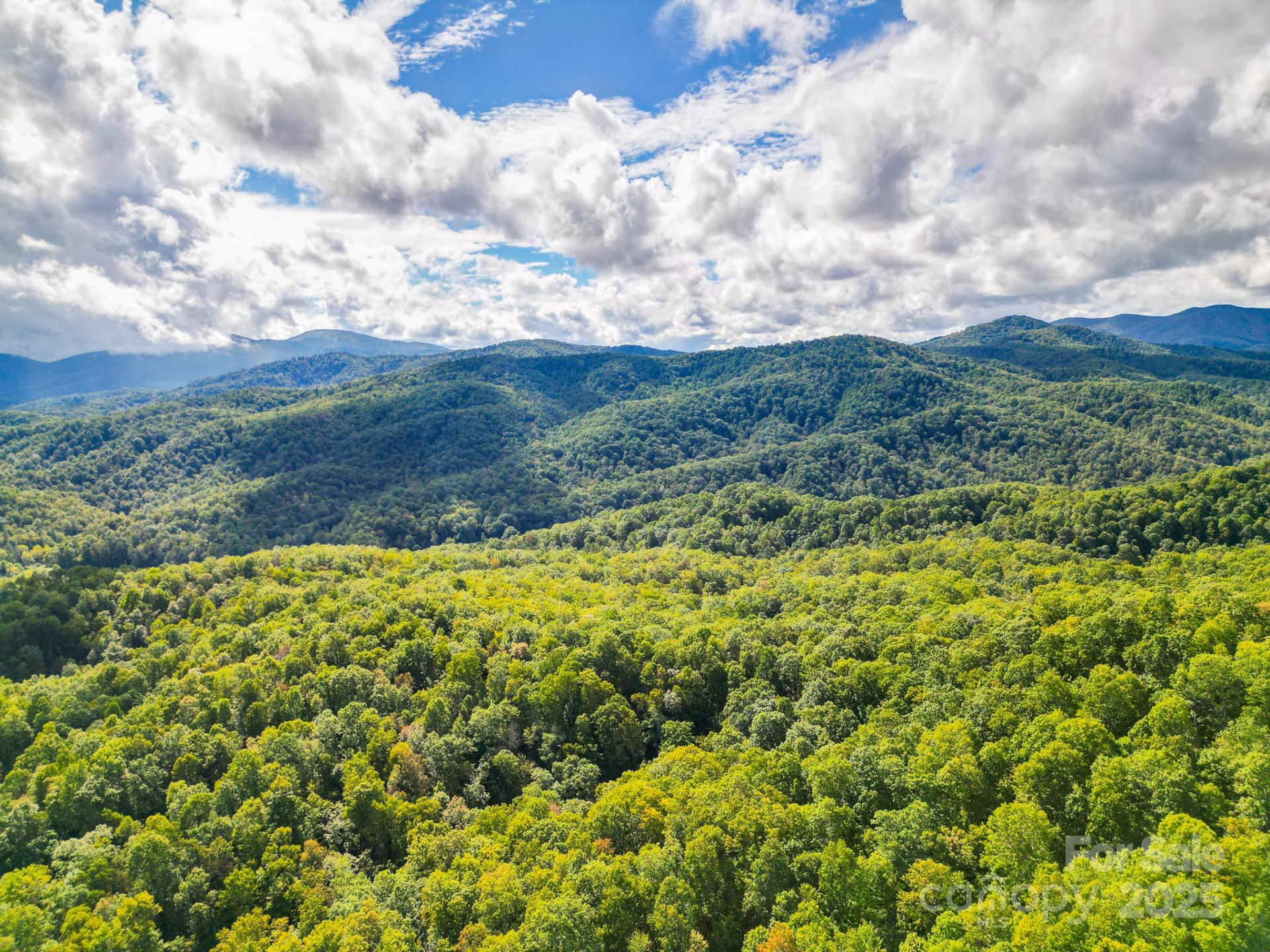 99999 Forest Brook Drive - Photo 5