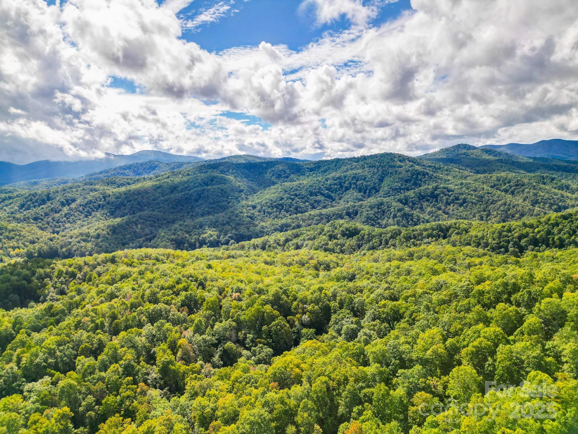 99999 Forest Brook Drive - Photo 5